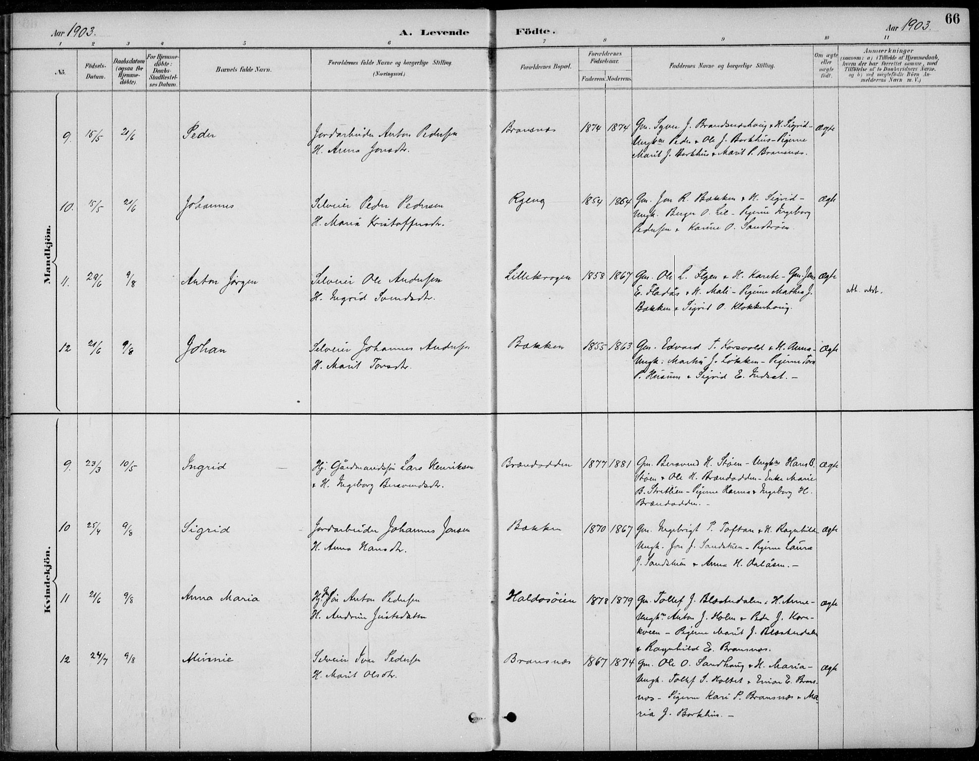 Alvdal prestekontor, AV/SAH-PREST-060/H/Ha/Haa/L0003: Parish register (official) no. 3, 1886-1912, p. 66