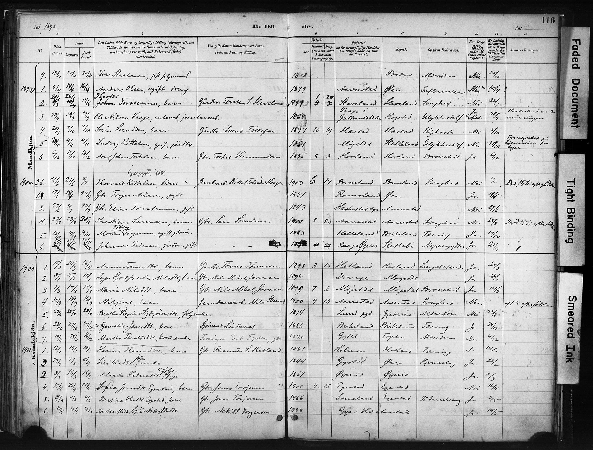 Helleland sokneprestkontor, AV/SAST-A-101810: Parish register (official) no. A 8, 1887-1907, p. 116