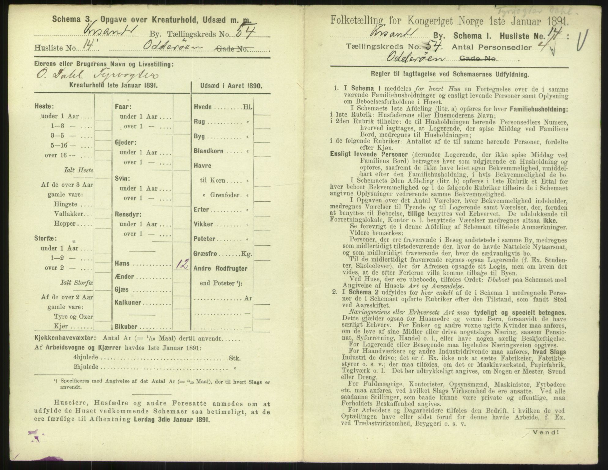 RA, 1891 census for 1001 Kristiansand, 1891, p. 2806