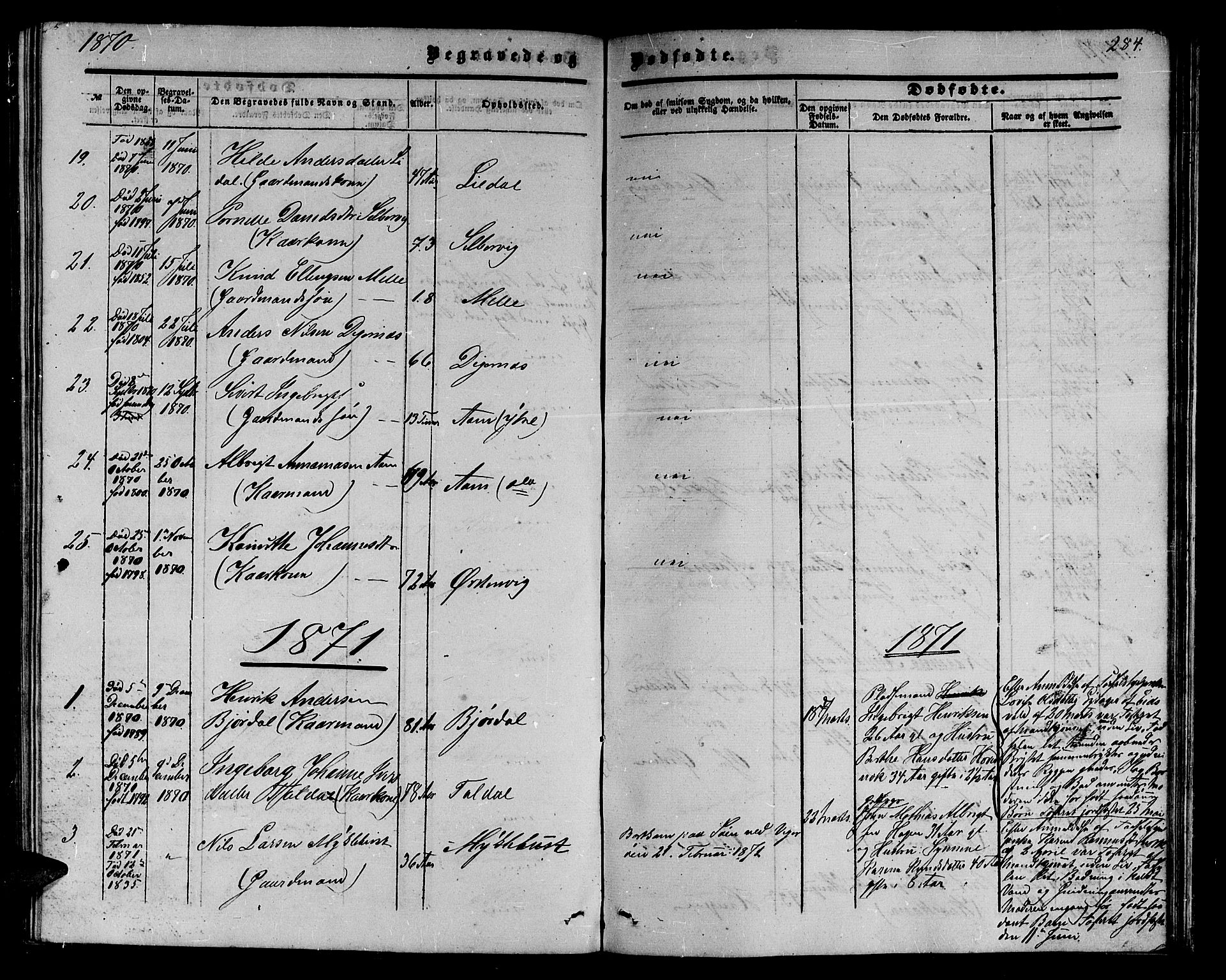 Ministerialprotokoller, klokkerbøker og fødselsregistre - Møre og Romsdal, AV/SAT-A-1454/513/L0188: Parish register (copy) no. 513C02, 1865-1882, p. 284