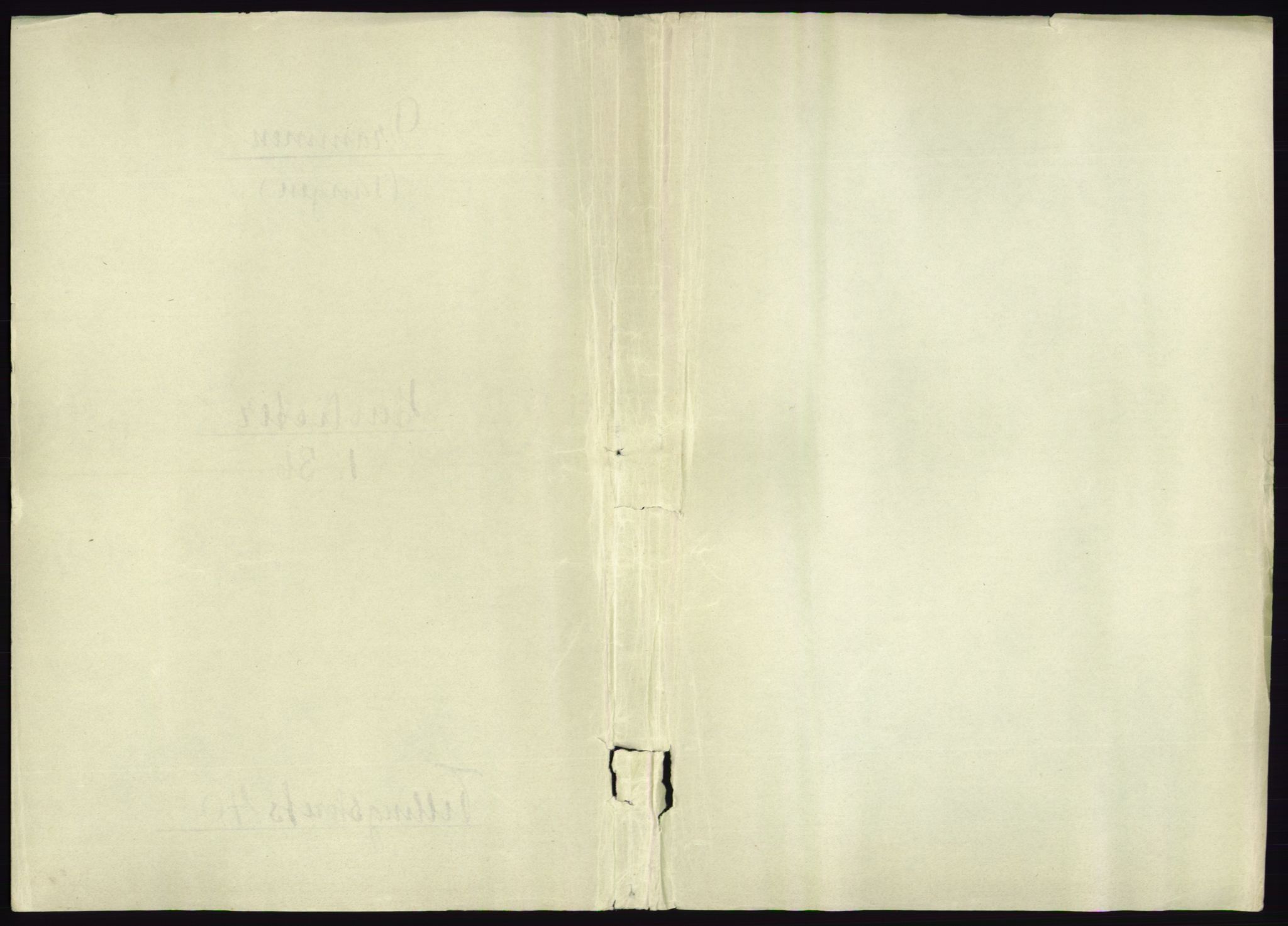 RA, 1891 census for 0602 Drammen, 1891, p. 3560