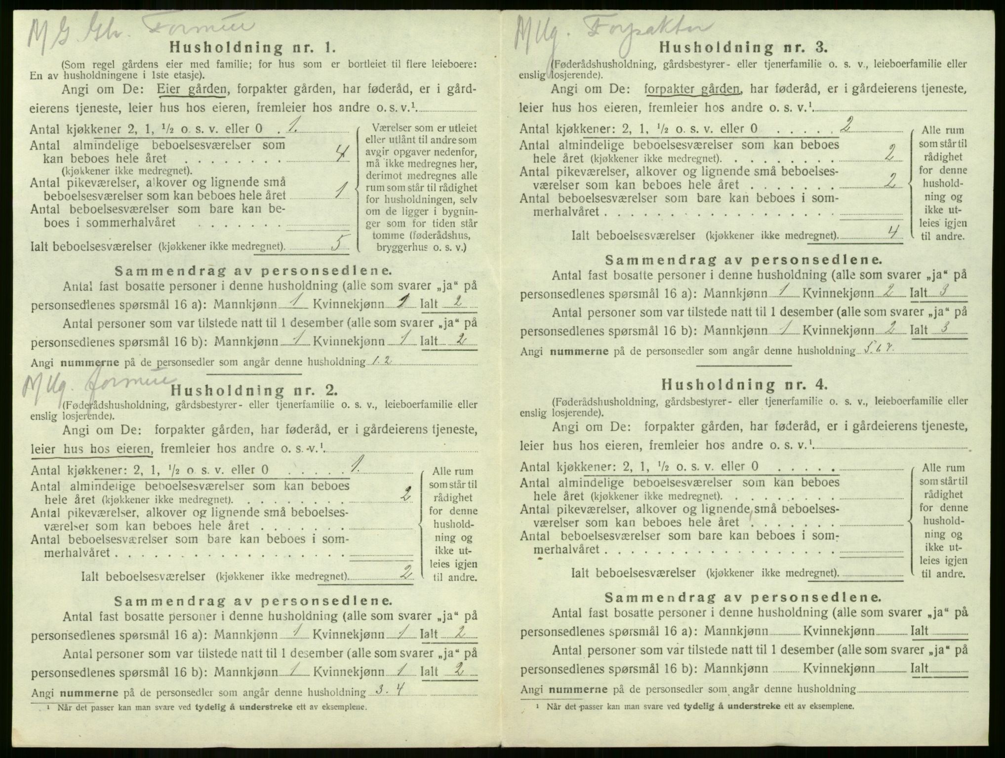 SAKO, 1920 census for Våle, 1920, p. 199