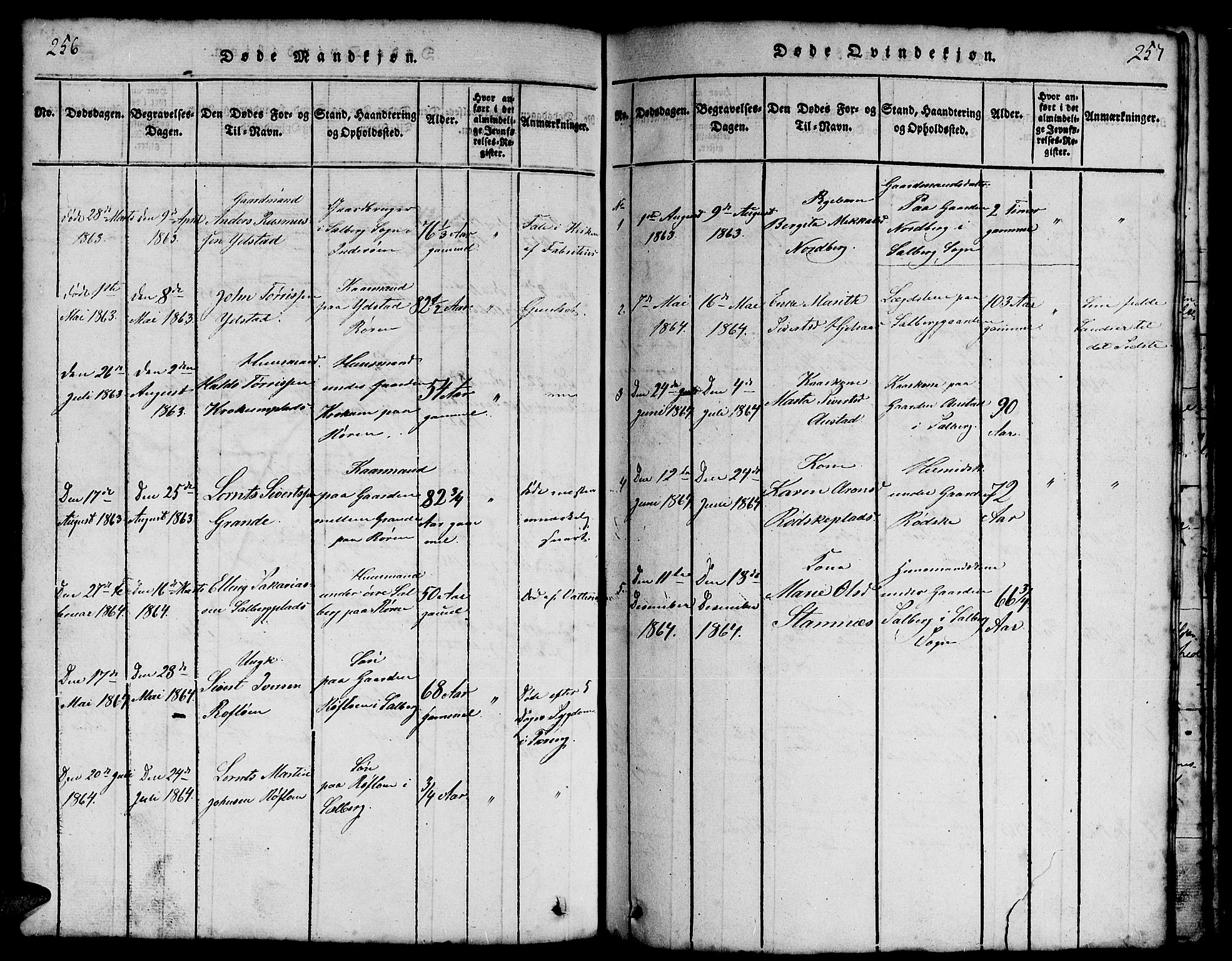 Ministerialprotokoller, klokkerbøker og fødselsregistre - Nord-Trøndelag, SAT/A-1458/731/L0310: Parish register (copy) no. 731C01, 1816-1874, p. 256-257
