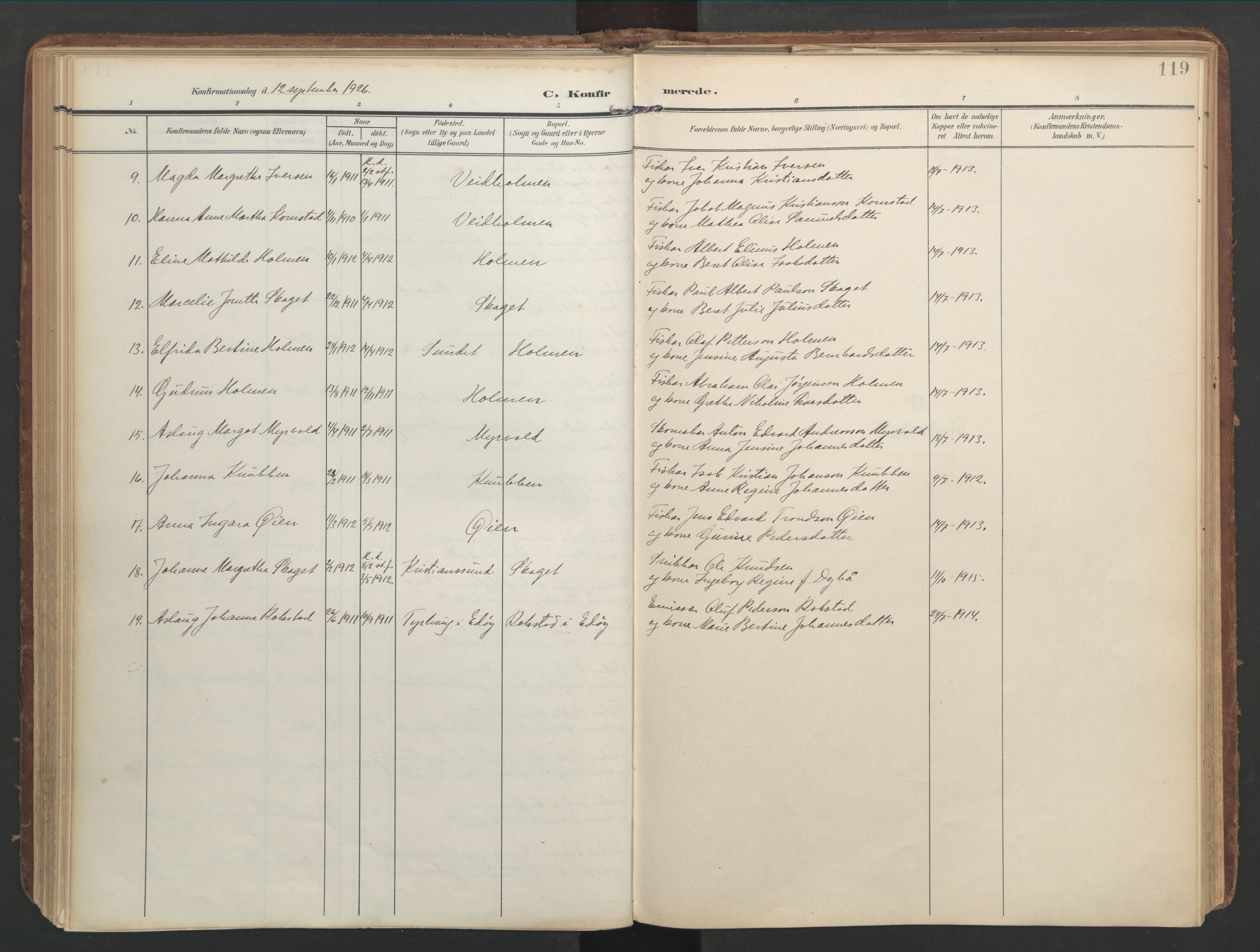 Ministerialprotokoller, klokkerbøker og fødselsregistre - Møre og Romsdal, SAT/A-1454/583/L0955: Parish register (official) no. 583A02, 1907-1926, p. 119