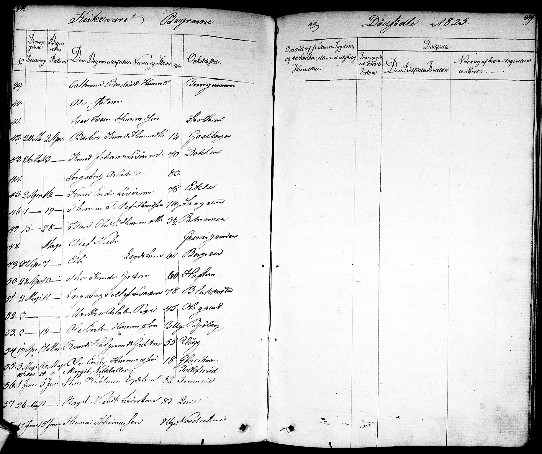 Nes kirkebøker, AV/SAKO-A-236/F/Fa/L0008: Parish register (official) no. 8, 1824-1834, p. 848-849