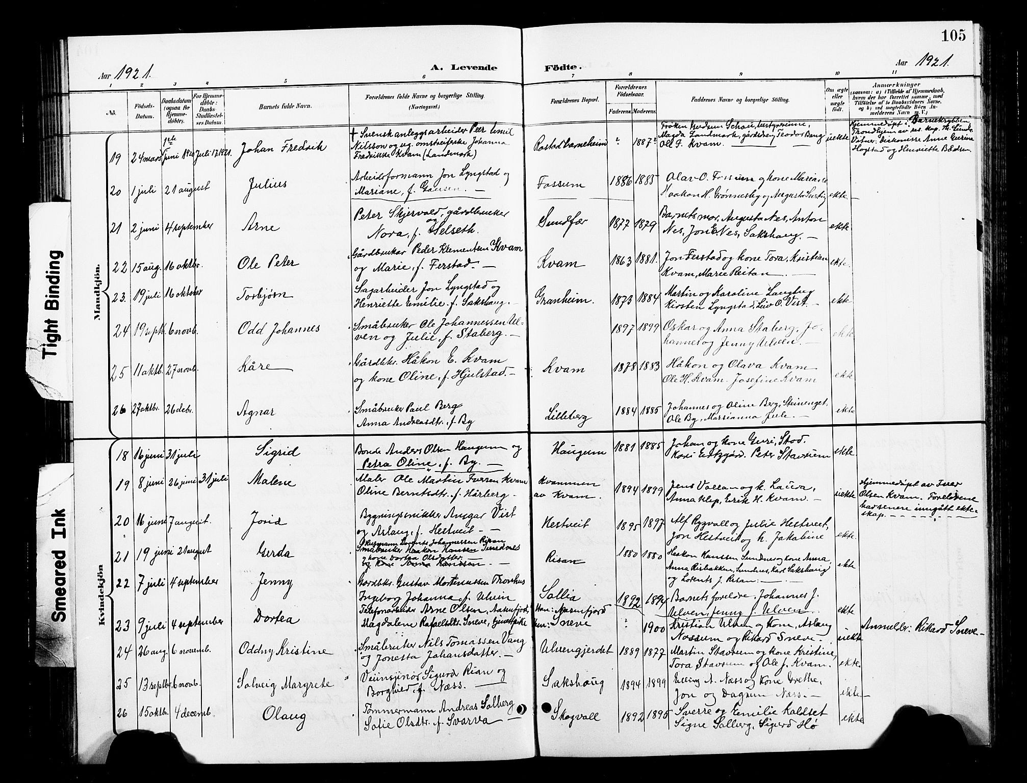 Ministerialprotokoller, klokkerbøker og fødselsregistre - Nord-Trøndelag, AV/SAT-A-1458/730/L0302: Parish register (copy) no. 730C05, 1898-1924, p. 105