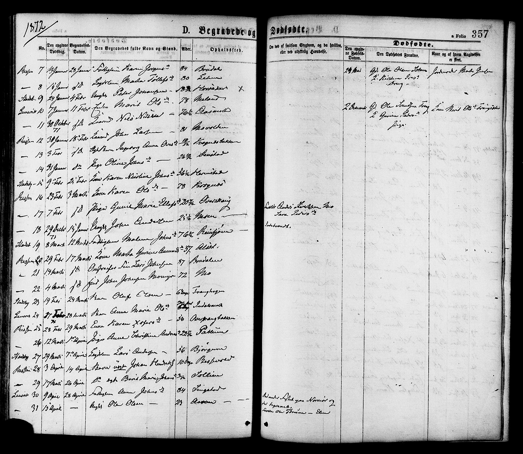 Ministerialprotokoller, klokkerbøker og fødselsregistre - Sør-Trøndelag, SAT/A-1456/646/L0613: Parish register (official) no. 646A11, 1870-1884, p. 357
