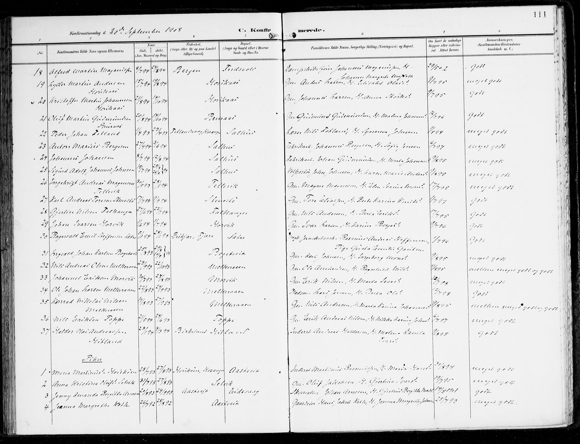 Hamre sokneprestembete, AV/SAB-A-75501/H/Ha/Haa/Haad/L0002: Parish register (official) no. D 2, 1899-1916, p. 111