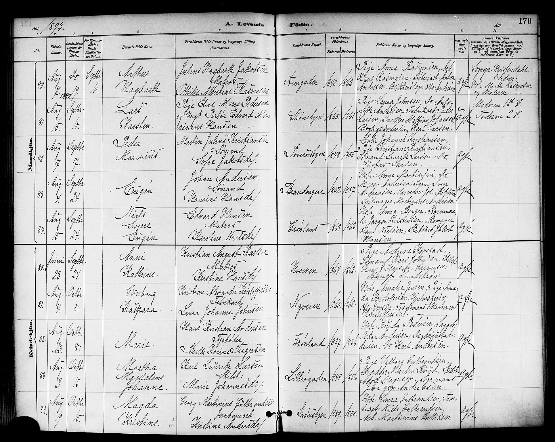 Strømsø kirkebøker, SAKO/A-246/F/Fa/L0023: Parish register (official) no. I 23, 1885-1894, p. 176