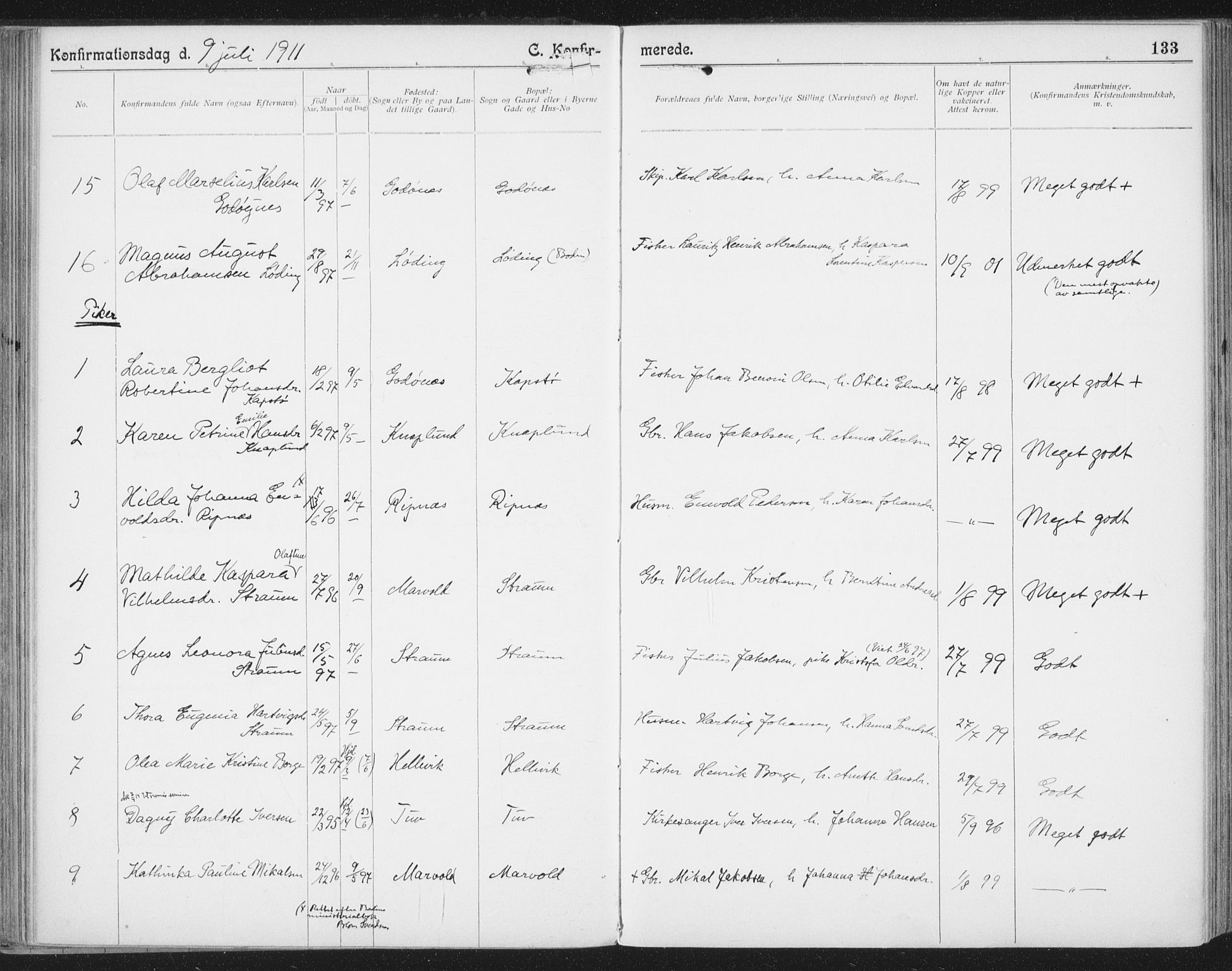 Ministerialprotokoller, klokkerbøker og fødselsregistre - Nordland, AV/SAT-A-1459/804/L0081: Parish register (official) no. 804A02, 1901-1915, p. 133