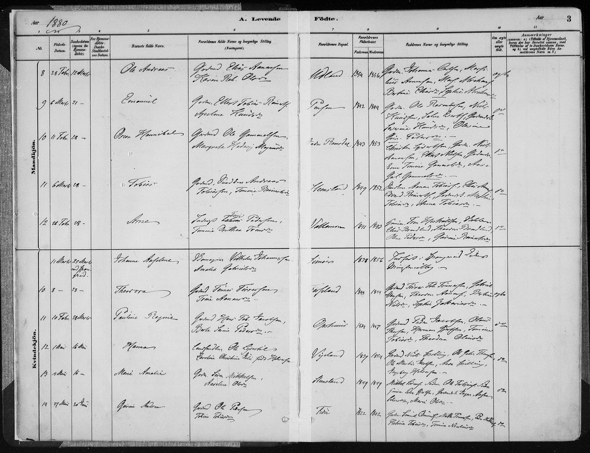 Sør-Audnedal sokneprestkontor, AV/SAK-1111-0039/F/Fa/Fab/L0009: Parish register (official) no. A 9, 1880-1895, p. 3