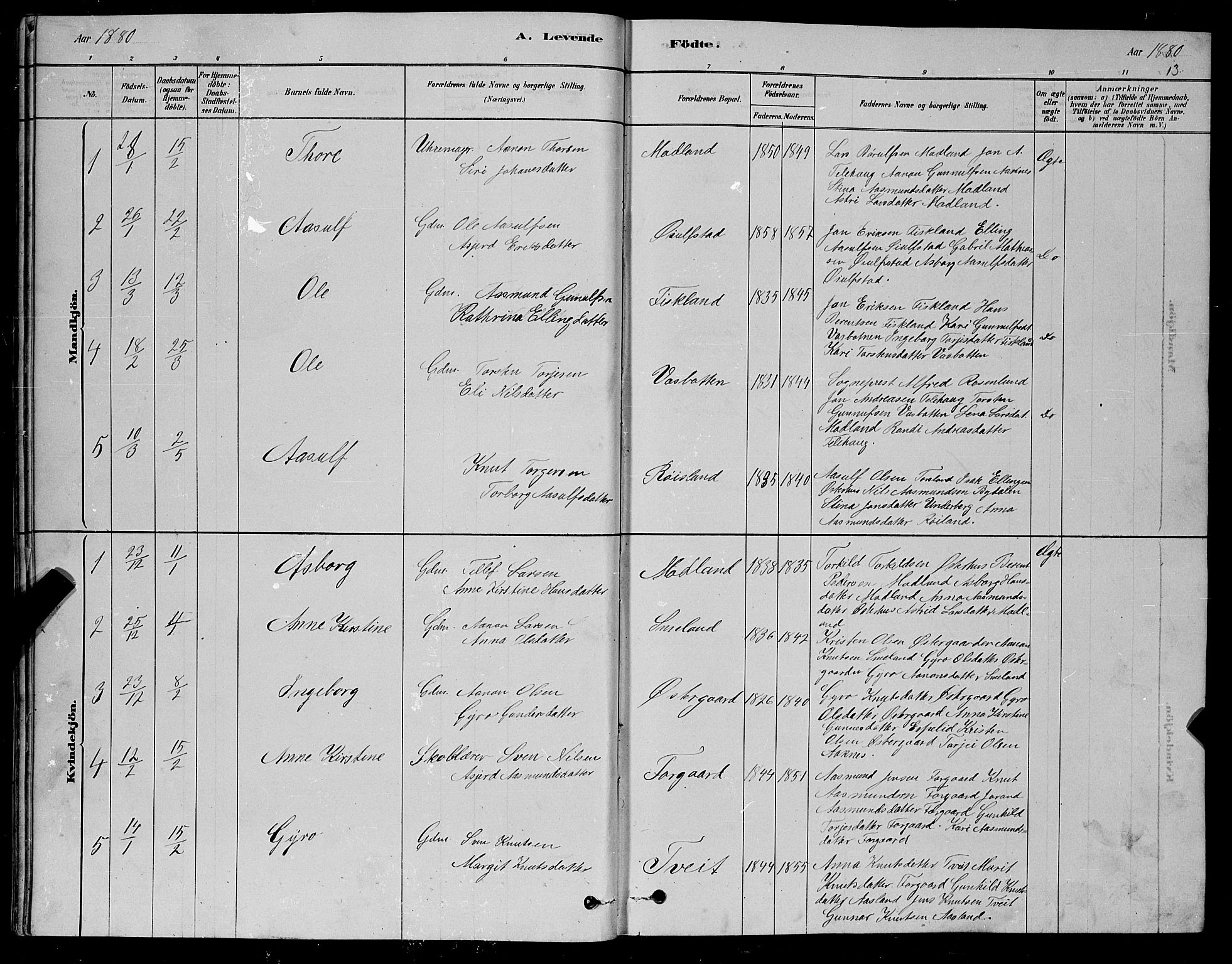 Åseral sokneprestkontor, AV/SAK-1111-0051/F/Fb/L0002: Parish register (copy) no. B 2, 1878-1899, p. 13