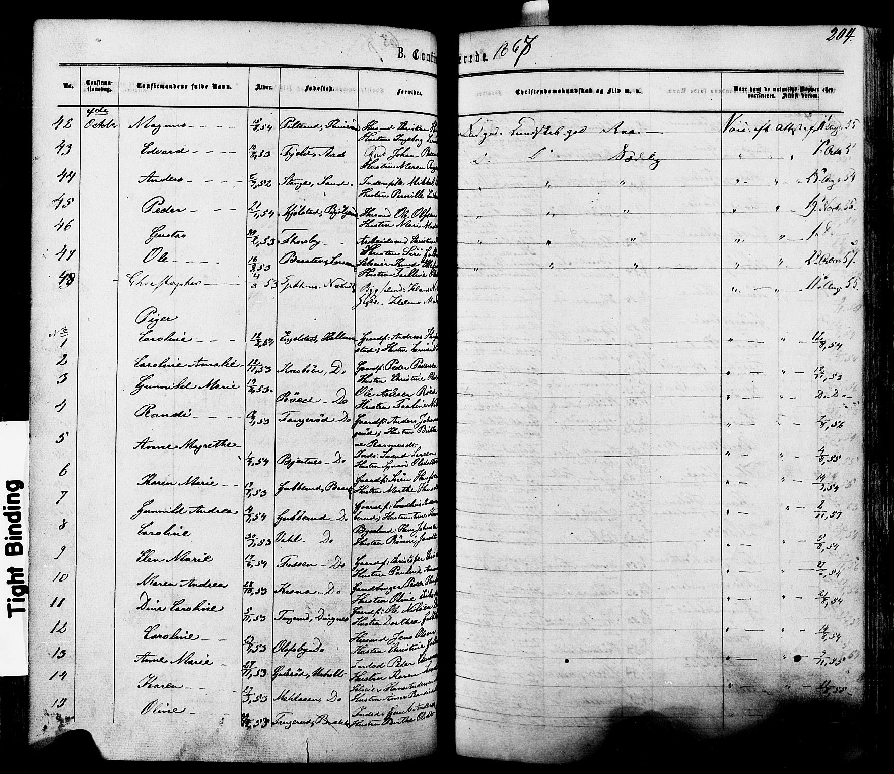 Modum kirkebøker, AV/SAKO-A-234/F/Fa/L0010: Parish register (official) no. 10, 1865-1876, p. 204