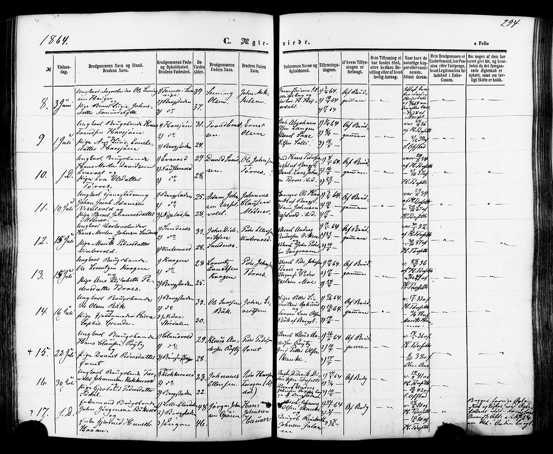 Ministerialprotokoller, klokkerbøker og fødselsregistre - Sør-Trøndelag, SAT/A-1456/681/L0932: Parish register (official) no. 681A10, 1860-1878, p. 294