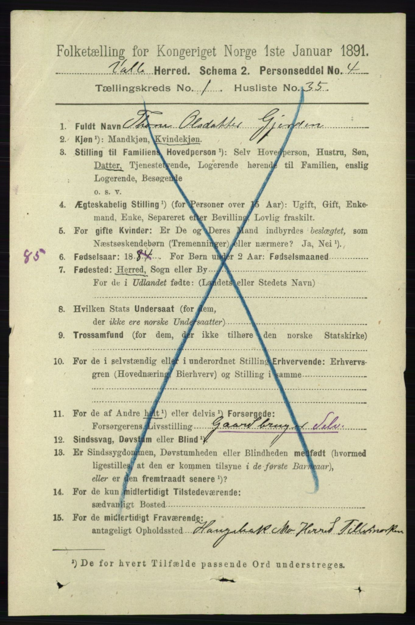 RA, 1891 census for 0940 Valle, 1891, p. 317