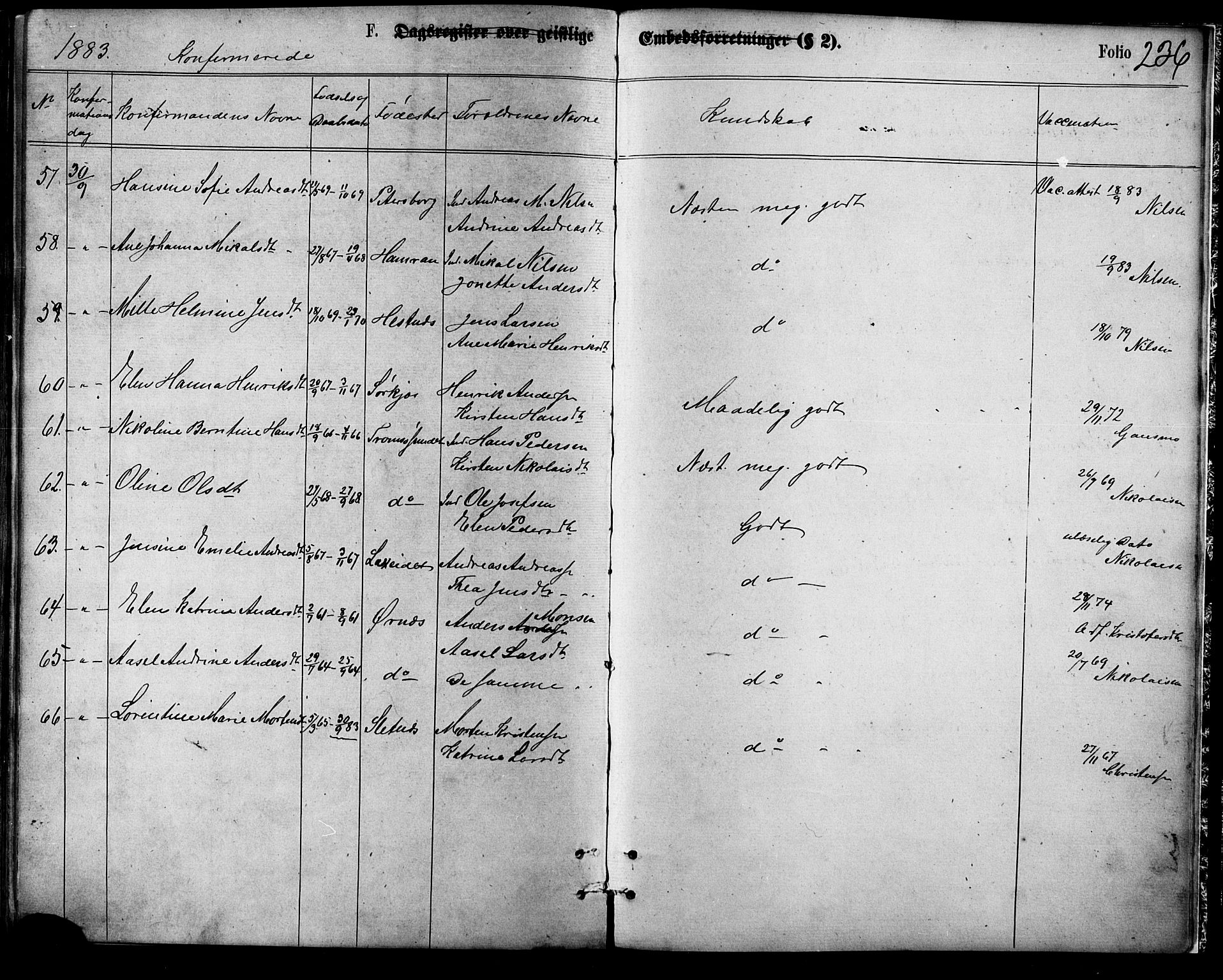 Balsfjord sokneprestembete, SATØ/S-1303/G/Ga/L0004kirke: Parish register (official) no. 4, 1871-1883, p. 236