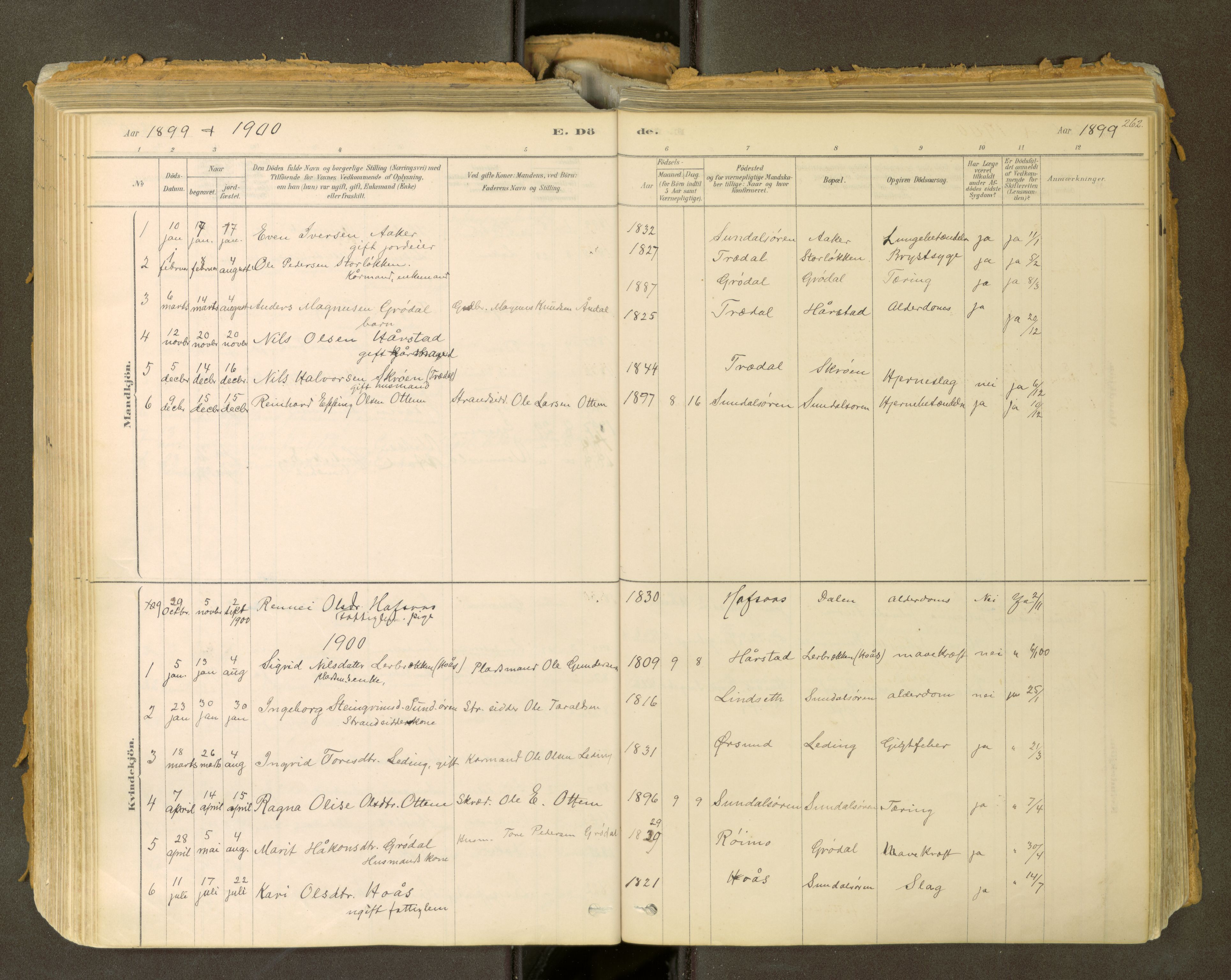 Sunndal sokneprestkontor, SAT/A-1085/1/I/I1/I1a: Parish register (official) no. 2, 1877-1914, p. 262
