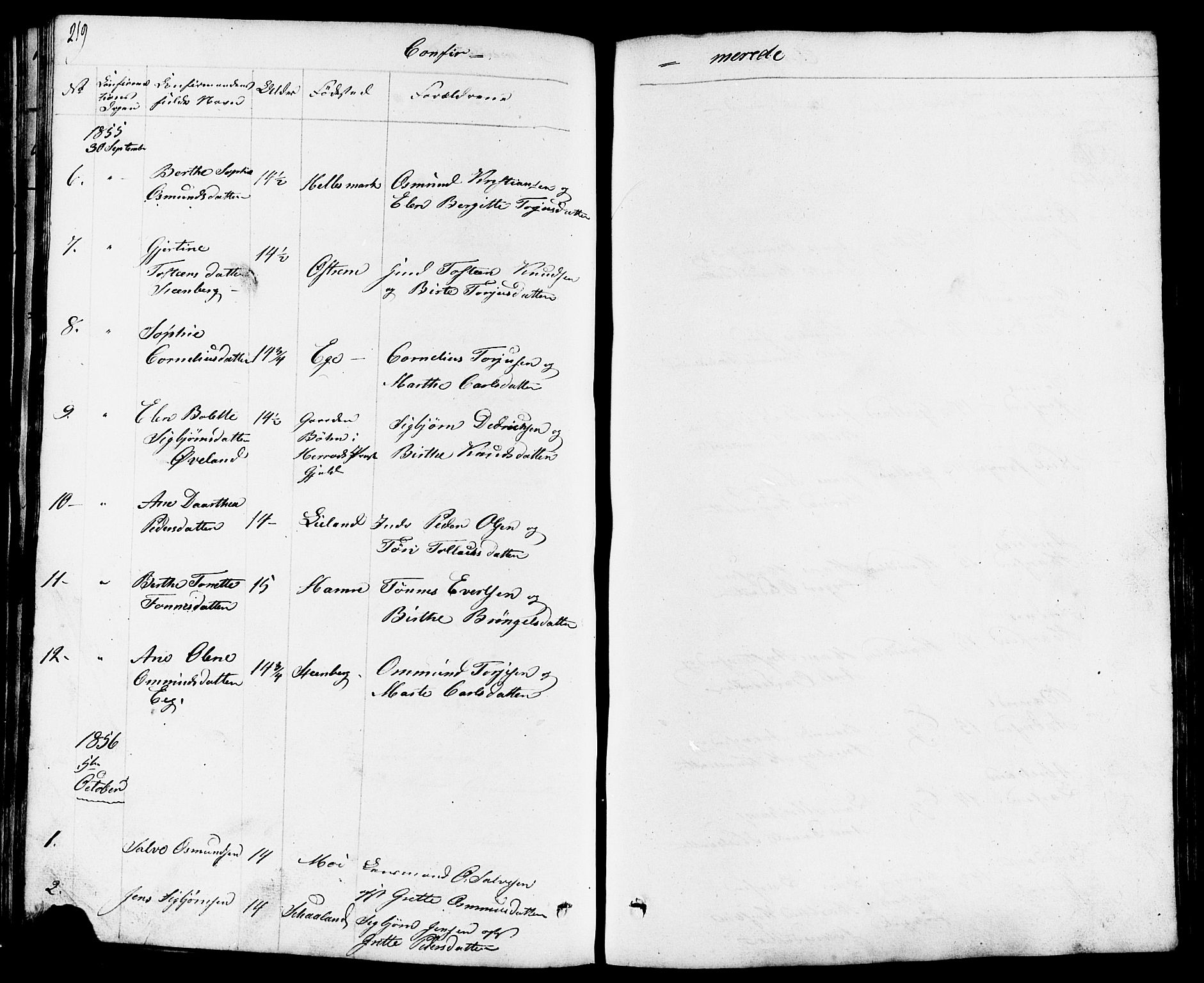 Lund sokneprestkontor, AV/SAST-A-101809/S07/L0003: Parish register (copy) no. B 3, 1848-1885, p. 219