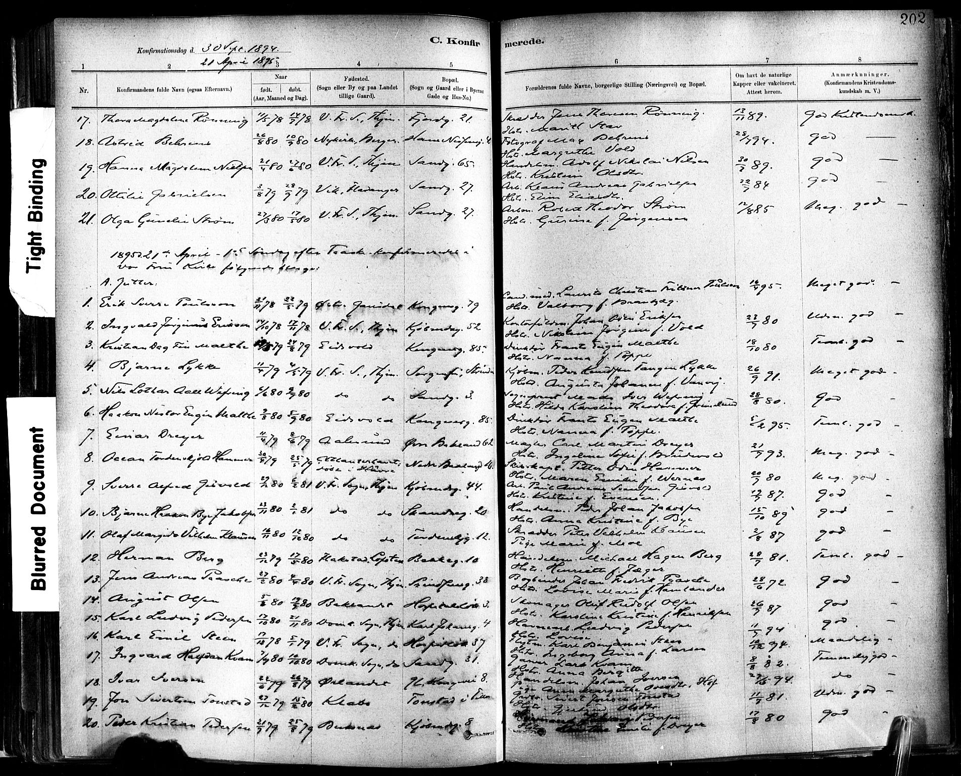 Ministerialprotokoller, klokkerbøker og fødselsregistre - Sør-Trøndelag, SAT/A-1456/602/L0119: Parish register (official) no. 602A17, 1880-1901, p. 202