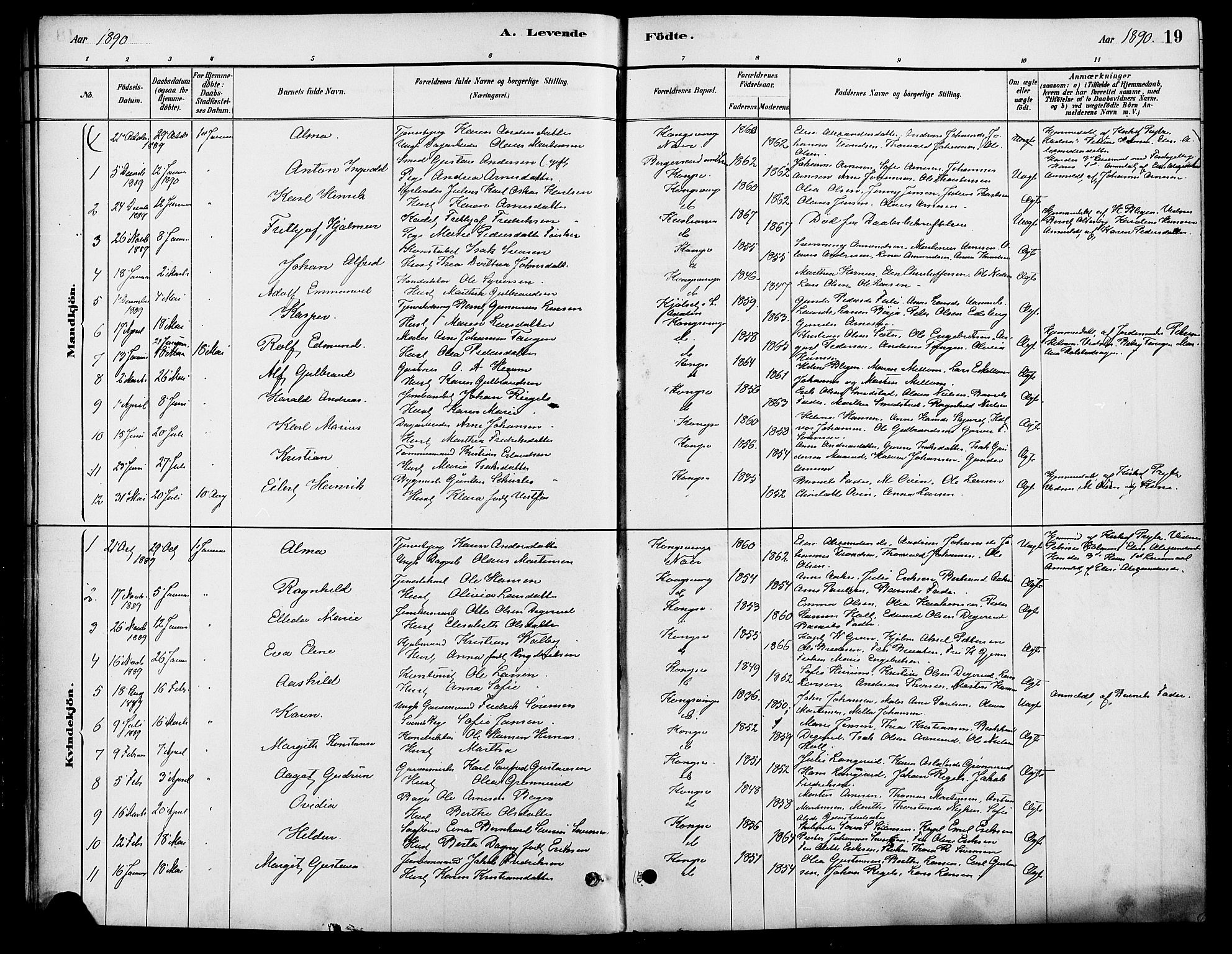 Vinger prestekontor, AV/SAH-PREST-024/H/Ha/Haa/L0013: Parish register (official) no. 13, 1881-1897, p. 19