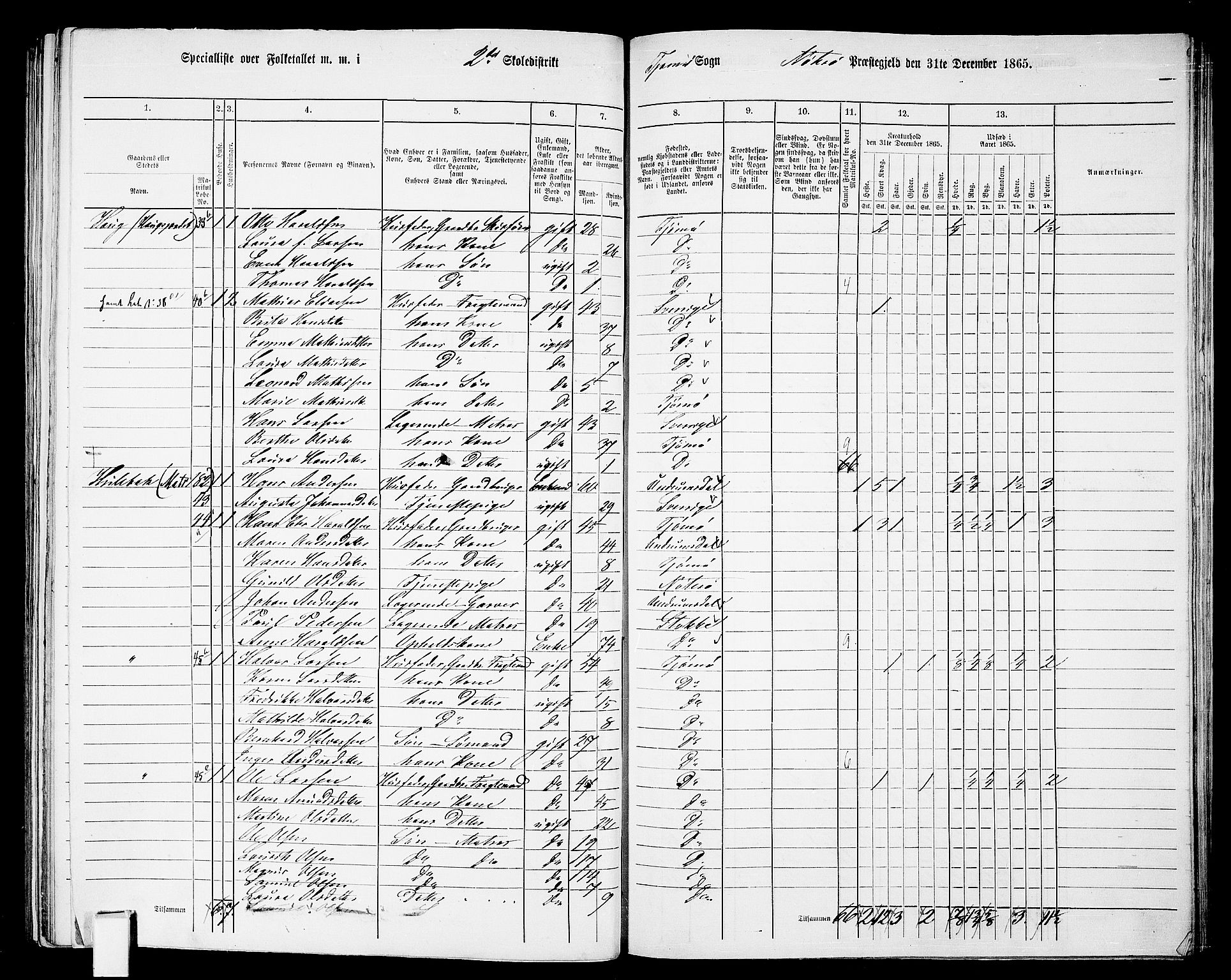 RA, 1865 census for Nøtterøy, 1865, p. 248