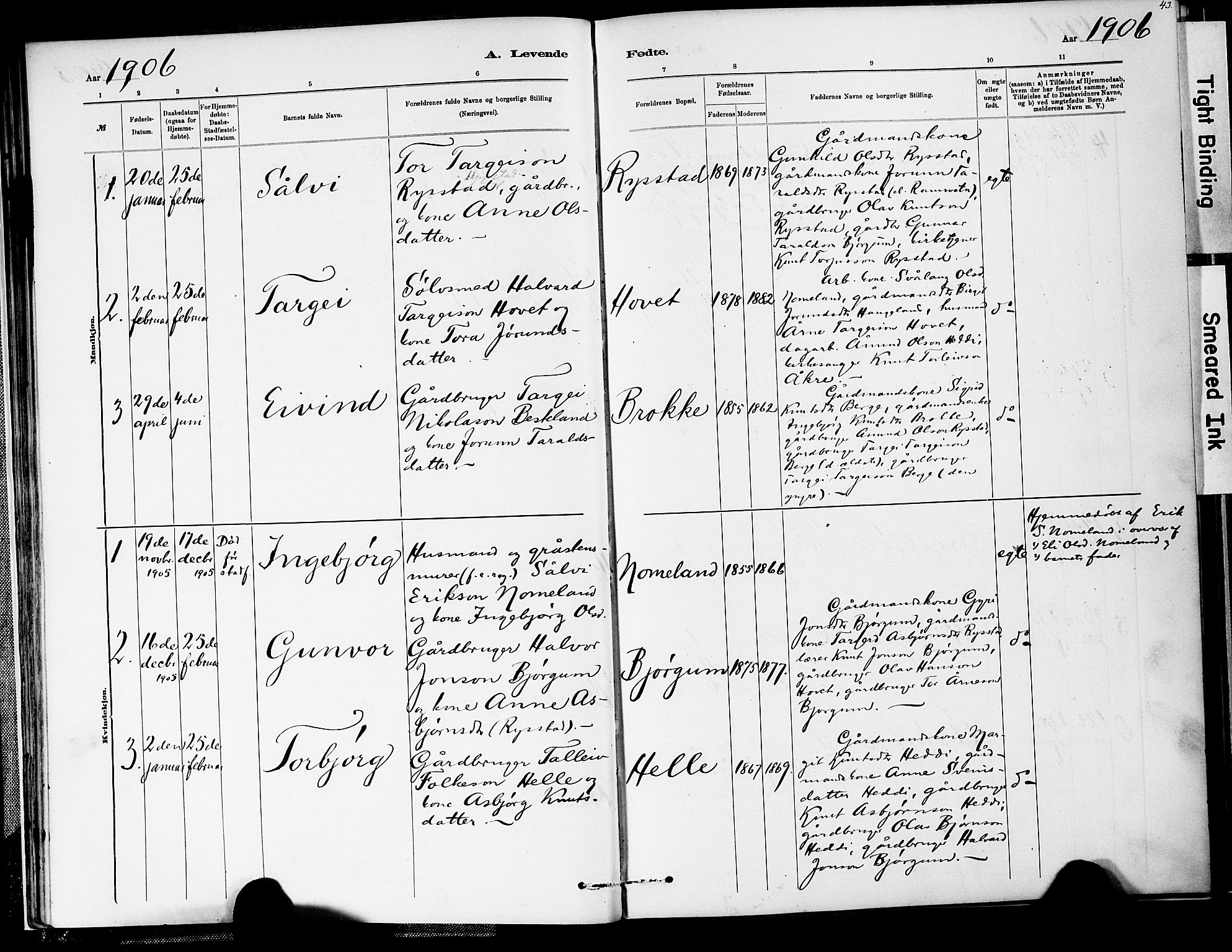 Valle sokneprestkontor, SAK/1111-0044/F/Fa/Fab/L0001: Parish register (official) no. A 1, 1882-1910, p. 43
