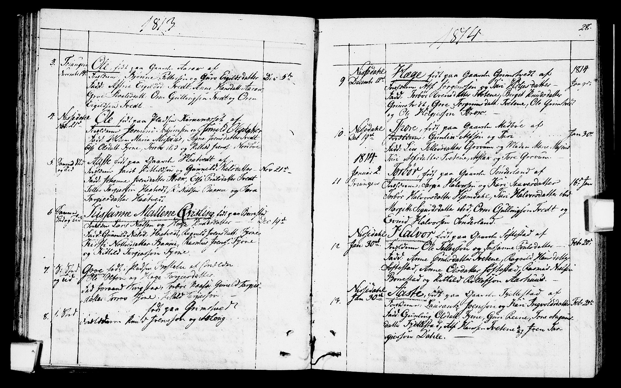 Nissedal kirkebøker, SAKO/A-288/F/Fa/L0001: Parish register (official) no. I 1, 1811-1814, p. 28