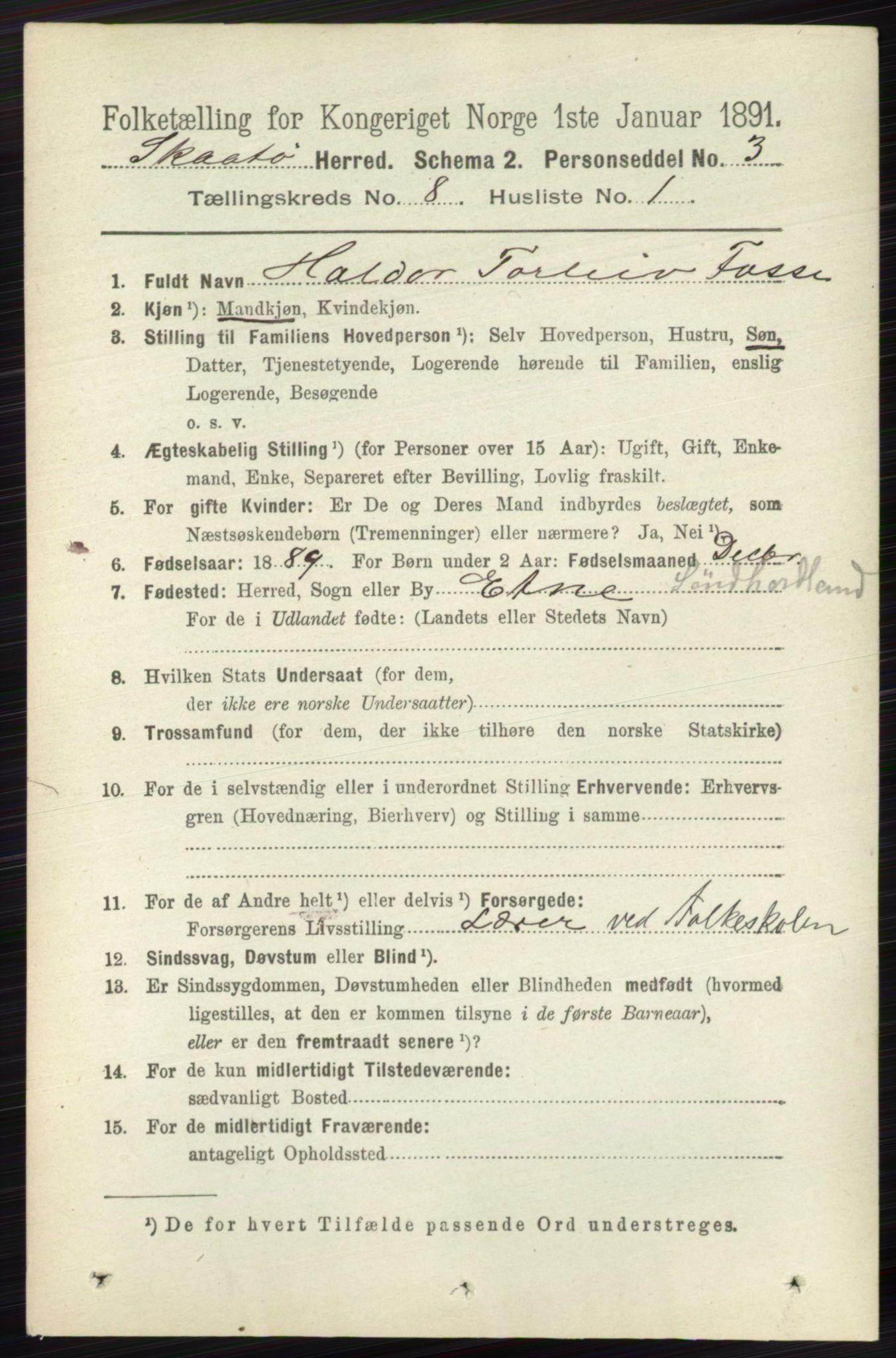 RA, 1891 census for 0815 Skåtøy, 1891, p. 3533