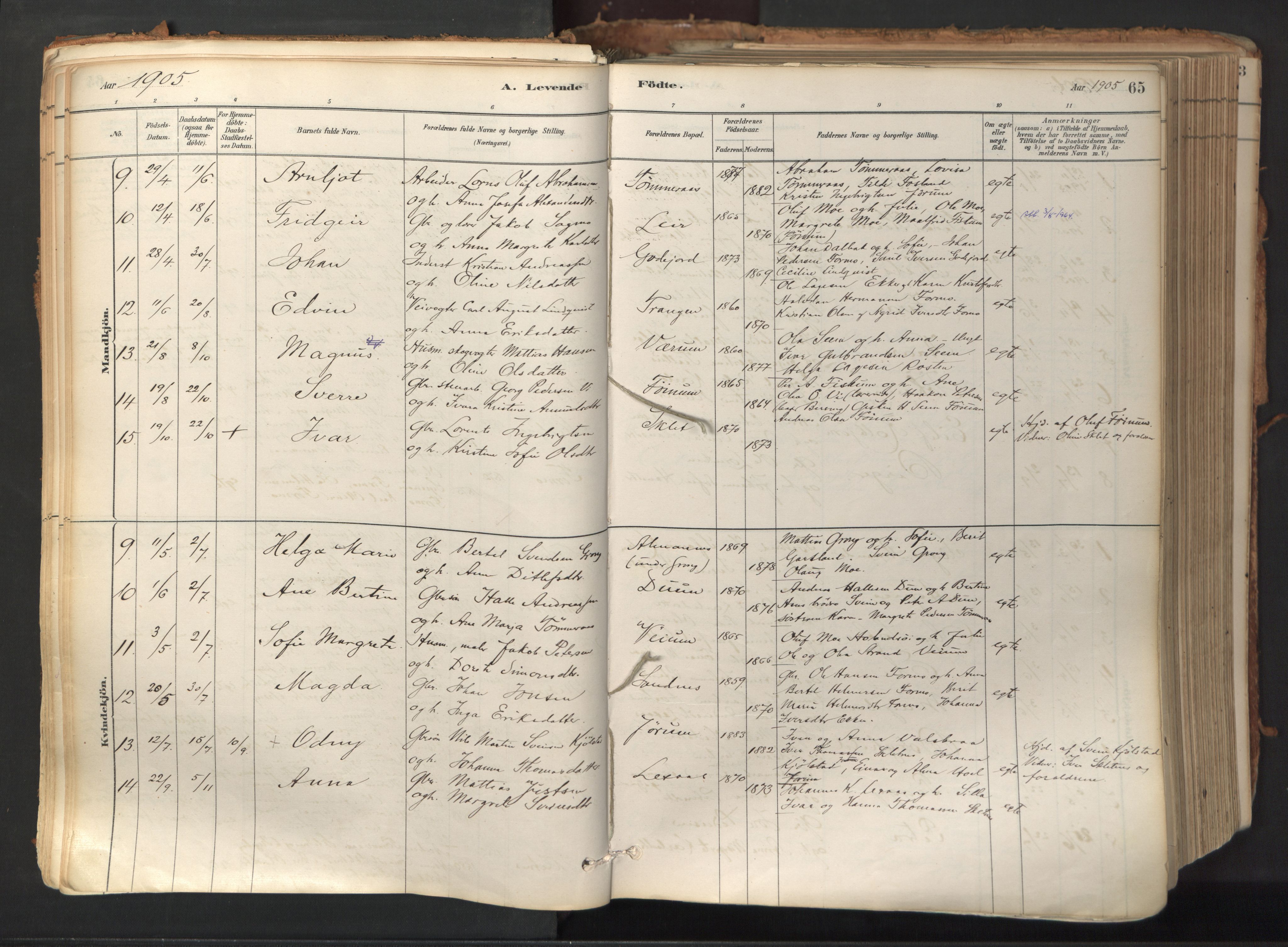 Ministerialprotokoller, klokkerbøker og fødselsregistre - Nord-Trøndelag, AV/SAT-A-1458/758/L0519: Parish register (official) no. 758A04, 1880-1926, p. 65