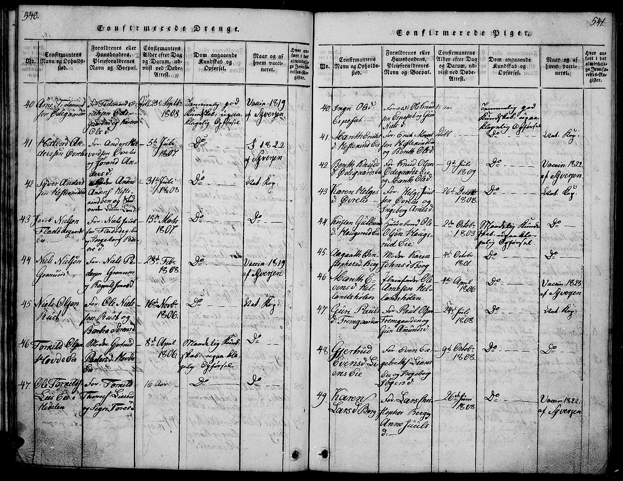 Sør-Aurdal prestekontor, SAH/PREST-128/H/Ha/Hab/L0001: Parish register (copy) no. 1, 1815-1826, p. 540-541