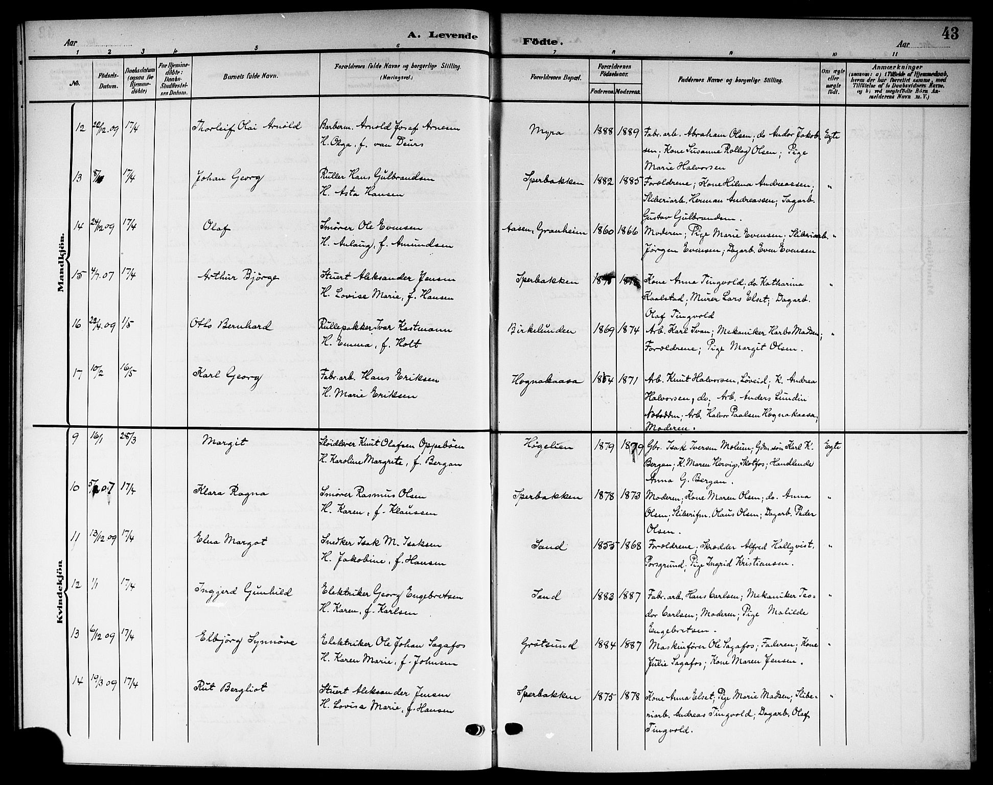 Solum kirkebøker, SAKO/A-306/G/Gb/L0005: Parish register (copy) no. II 5, 1905-1914, p. 43