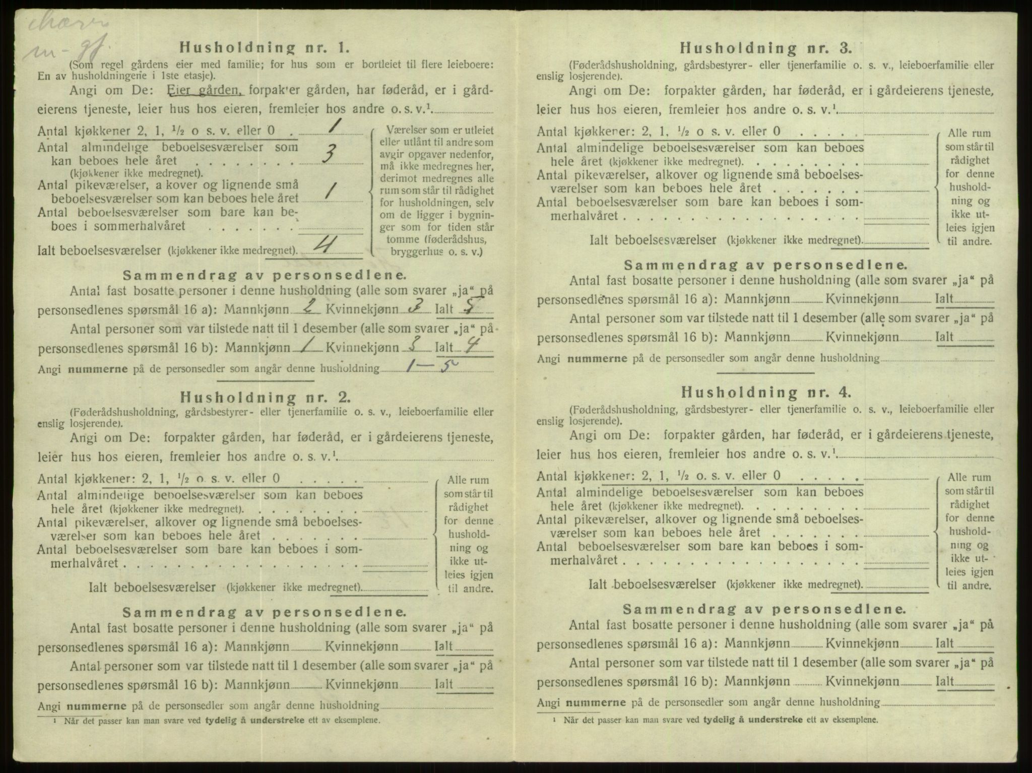 SAB, 1920 census for Hornindal, 1920, p. 206