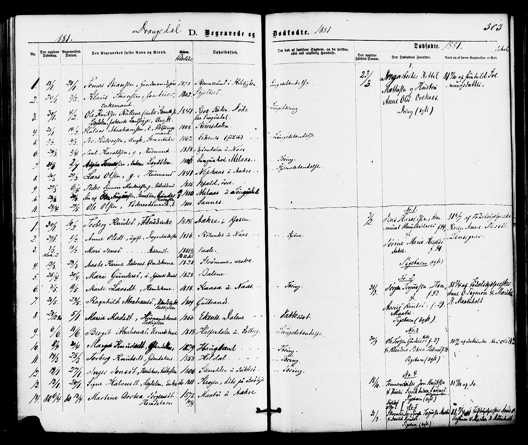 Drangedal kirkebøker, SAKO/A-258/F/Fa/L0009: Parish register (official) no. 9 /1, 1872-1884, p. 303