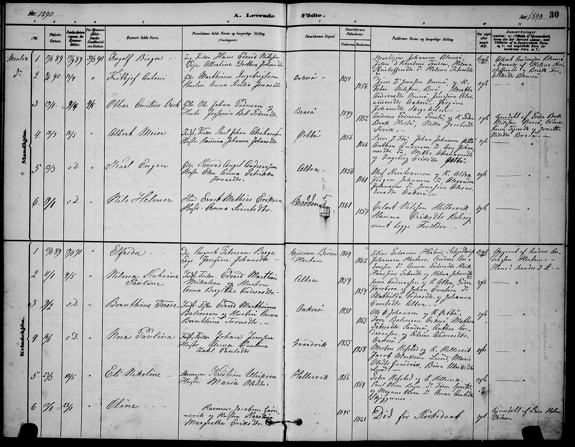 Ministerialprotokoller, klokkerbøker og fødselsregistre - Nordland, AV/SAT-A-1459/830/L0462: Parish register (copy) no. 830C04, 1882-1895, p. 30