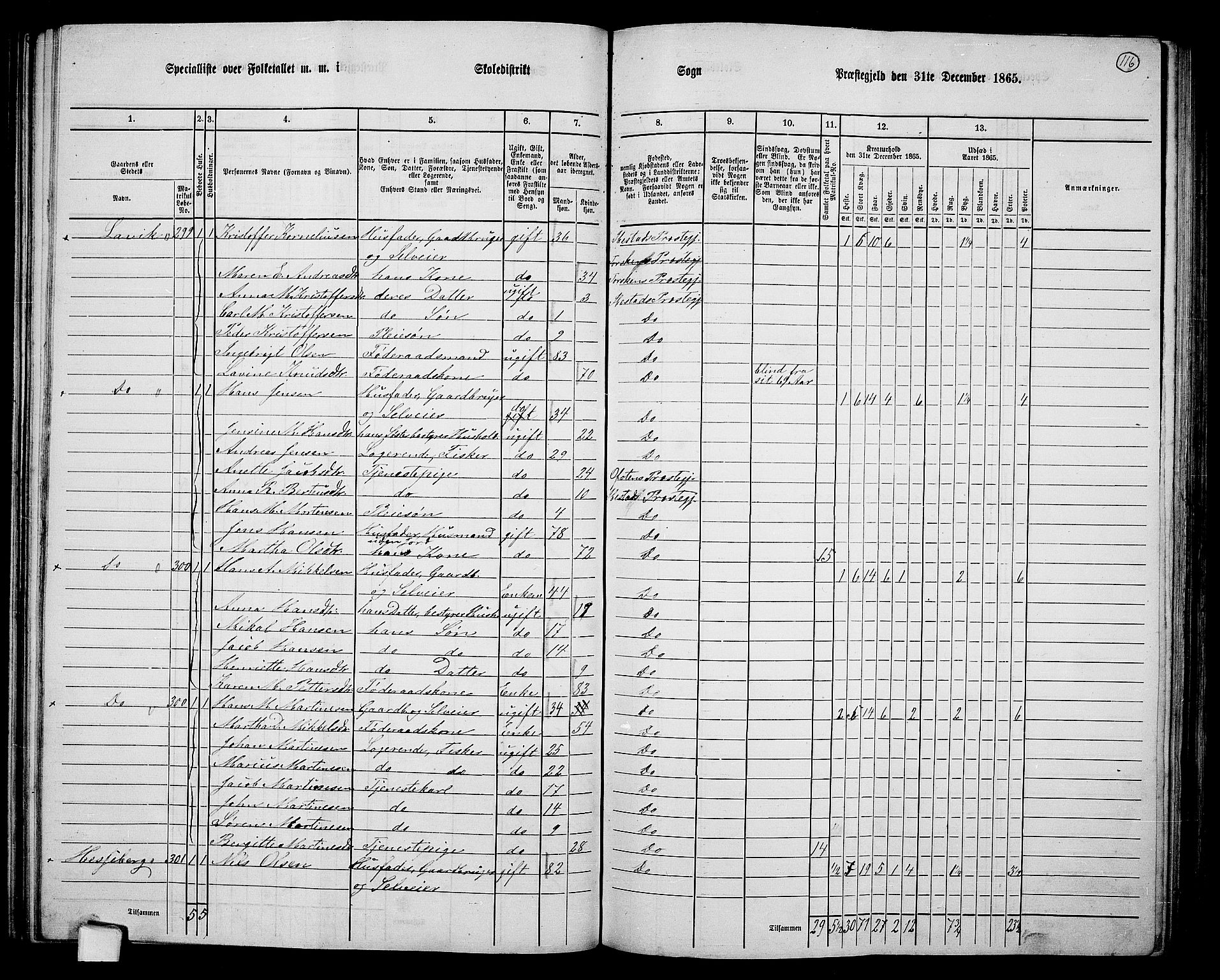 RA, 1865 census for Ibestad, 1865, p. 109