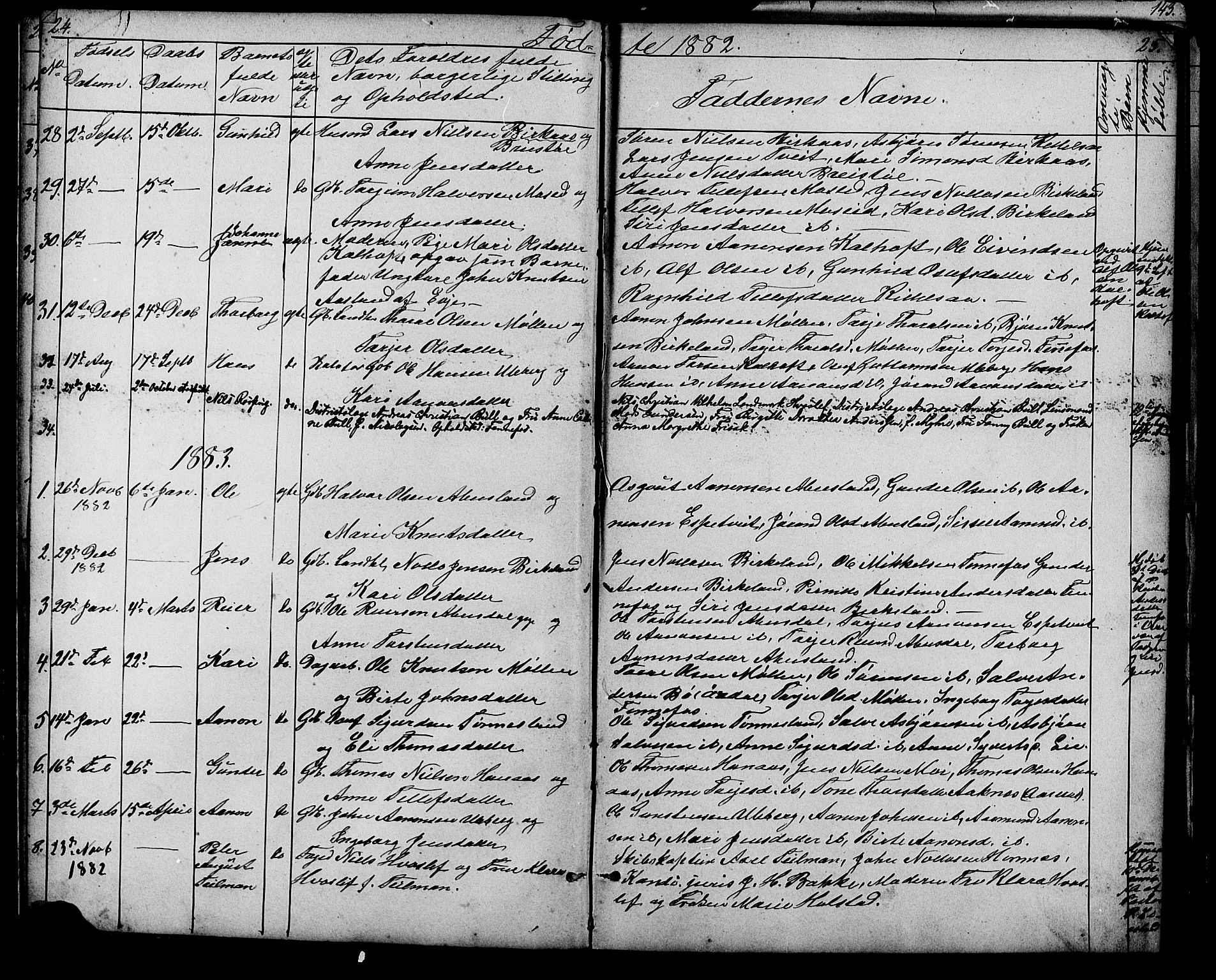 Evje sokneprestkontor, SAK/1111-0008/F/Fb/Fbb/L0002: Parish register (copy) no. B 2, 1879-1909, p. 24-25