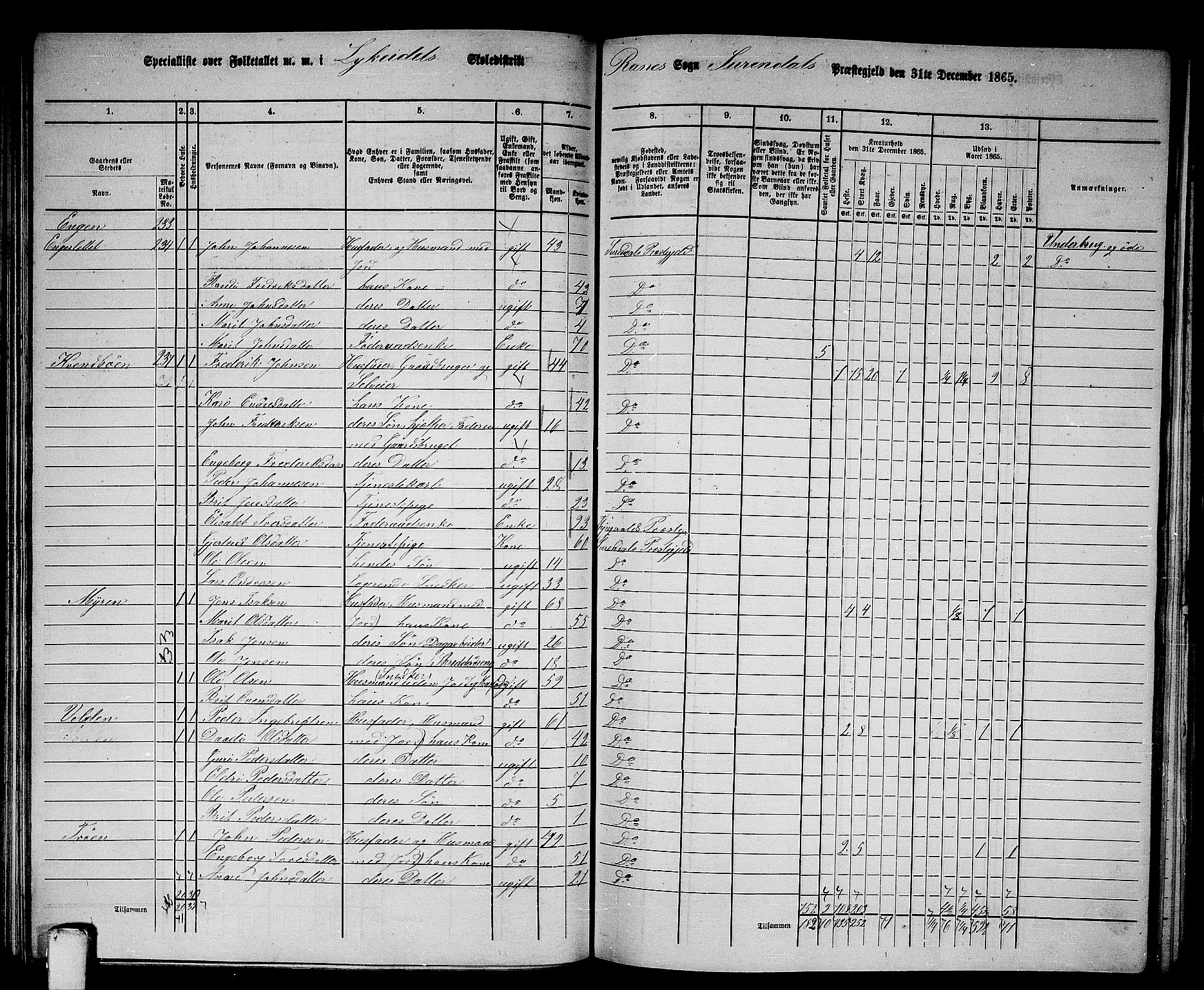 RA, 1865 census for Surnadal, 1865, p. 102