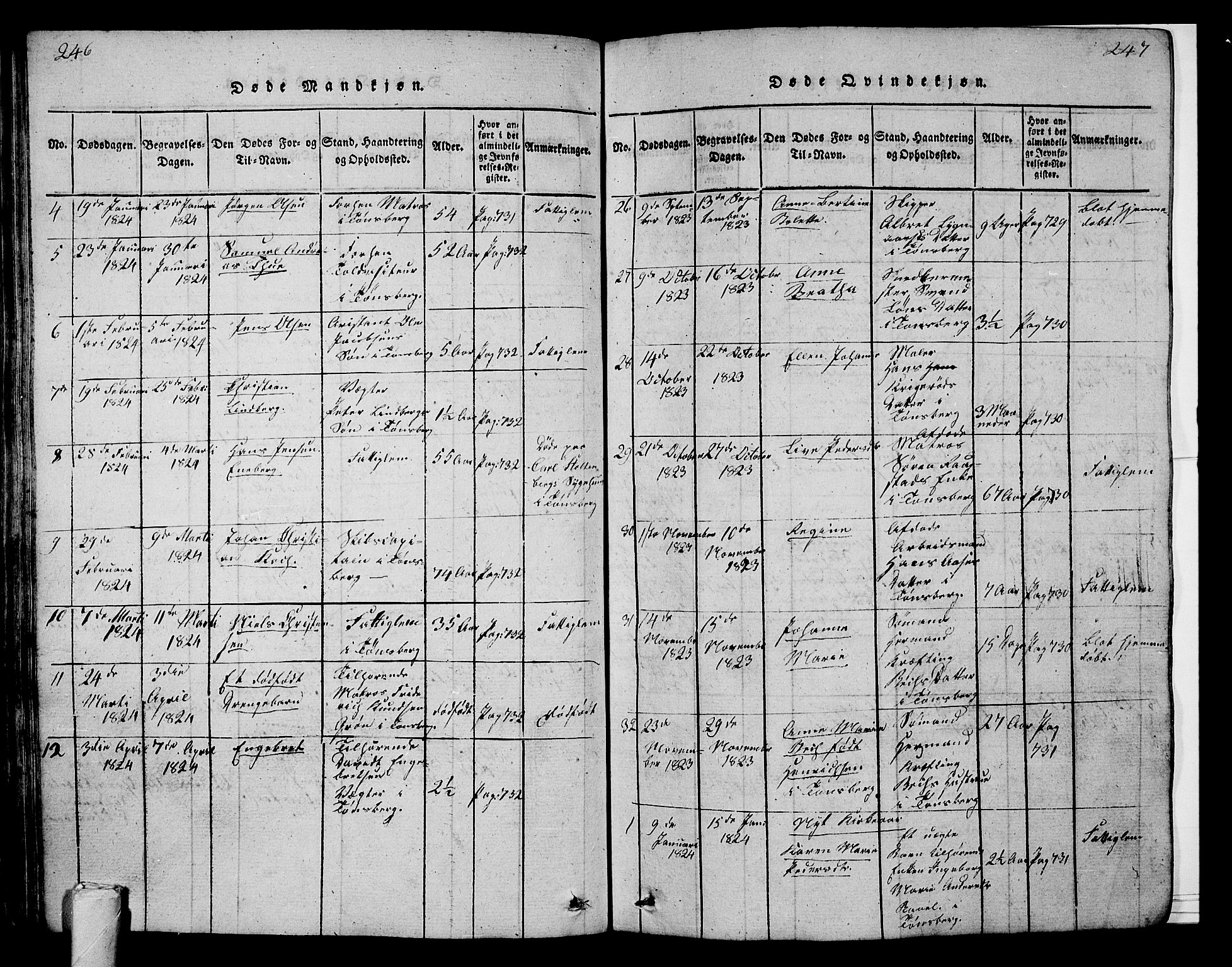Tønsberg kirkebøker, SAKO/A-330/G/Ga/L0001: Parish register (copy) no. 1, 1813-1826, p. 246-247
