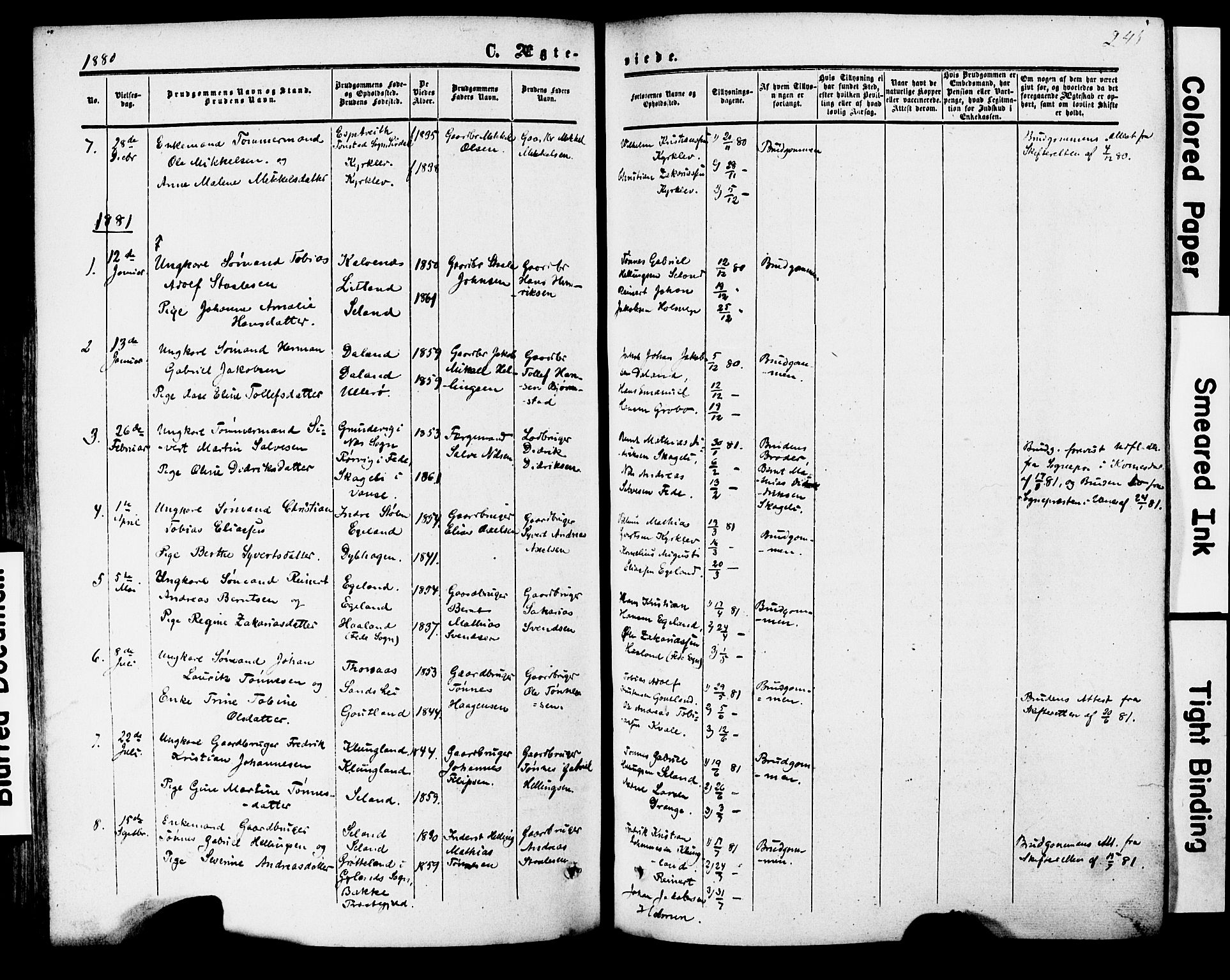 Herad sokneprestkontor, AV/SAK-1111-0018/F/Fa/Faa/L0005: Parish register (official) no. A 5, 1853-1886, p. 245