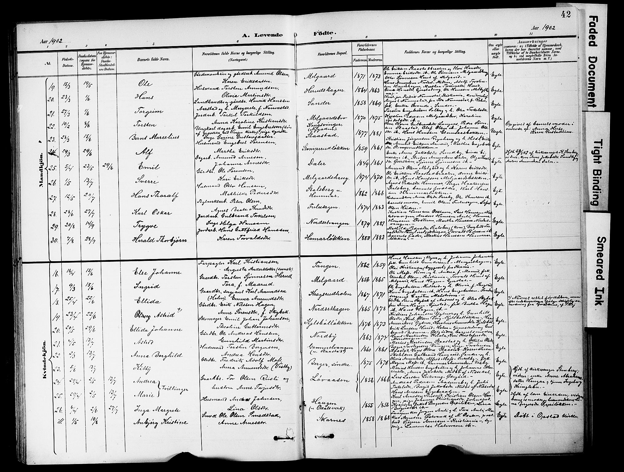 Sør-Odal prestekontor, SAH/PREST-030/H/Ha/Hab/L0001: Parish register (copy) no. 1, 1895-1902, p. 42