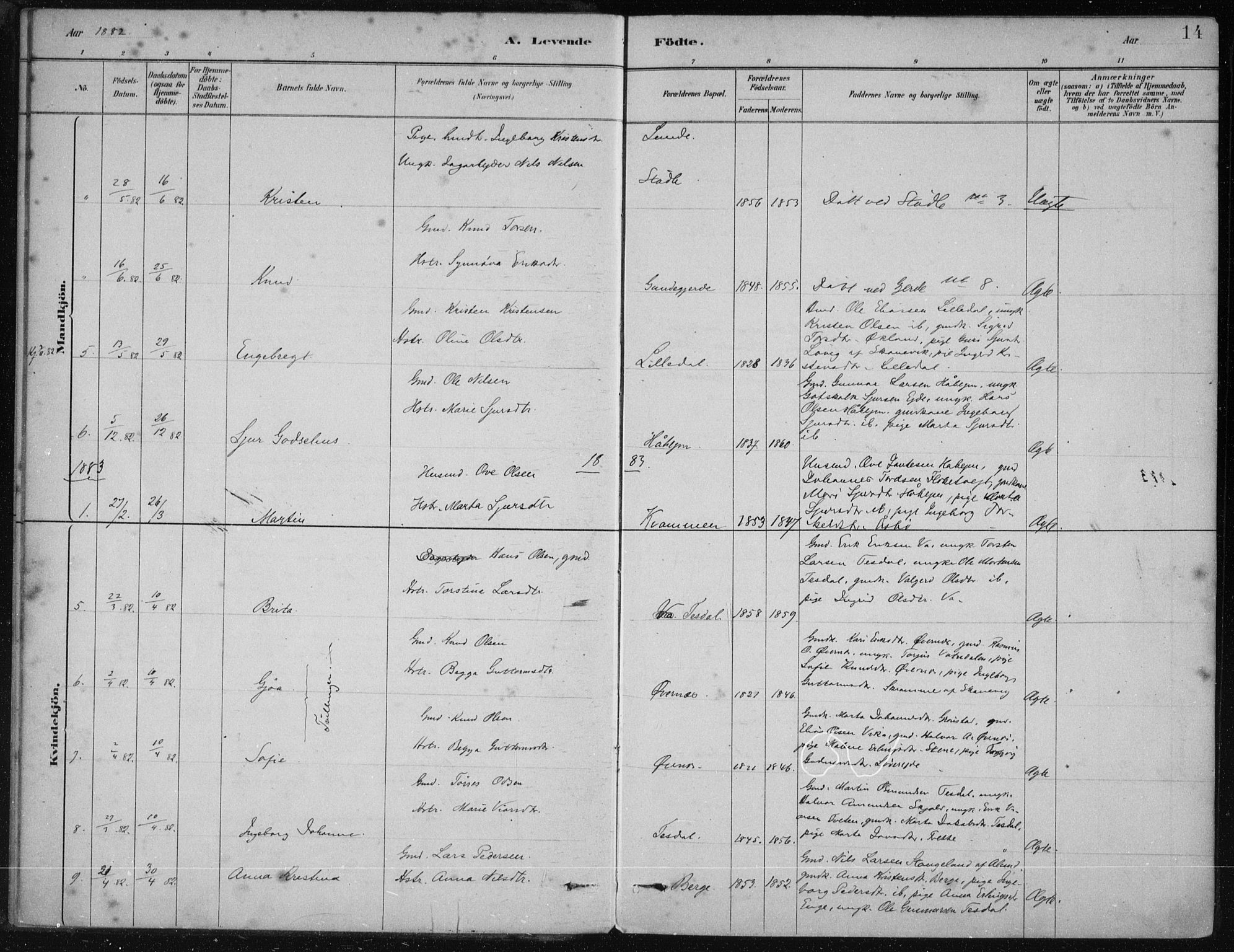 Etne sokneprestembete, AV/SAB-A-75001/H/Haa: Parish register (official) no. D  1, 1879-1919, p. 14