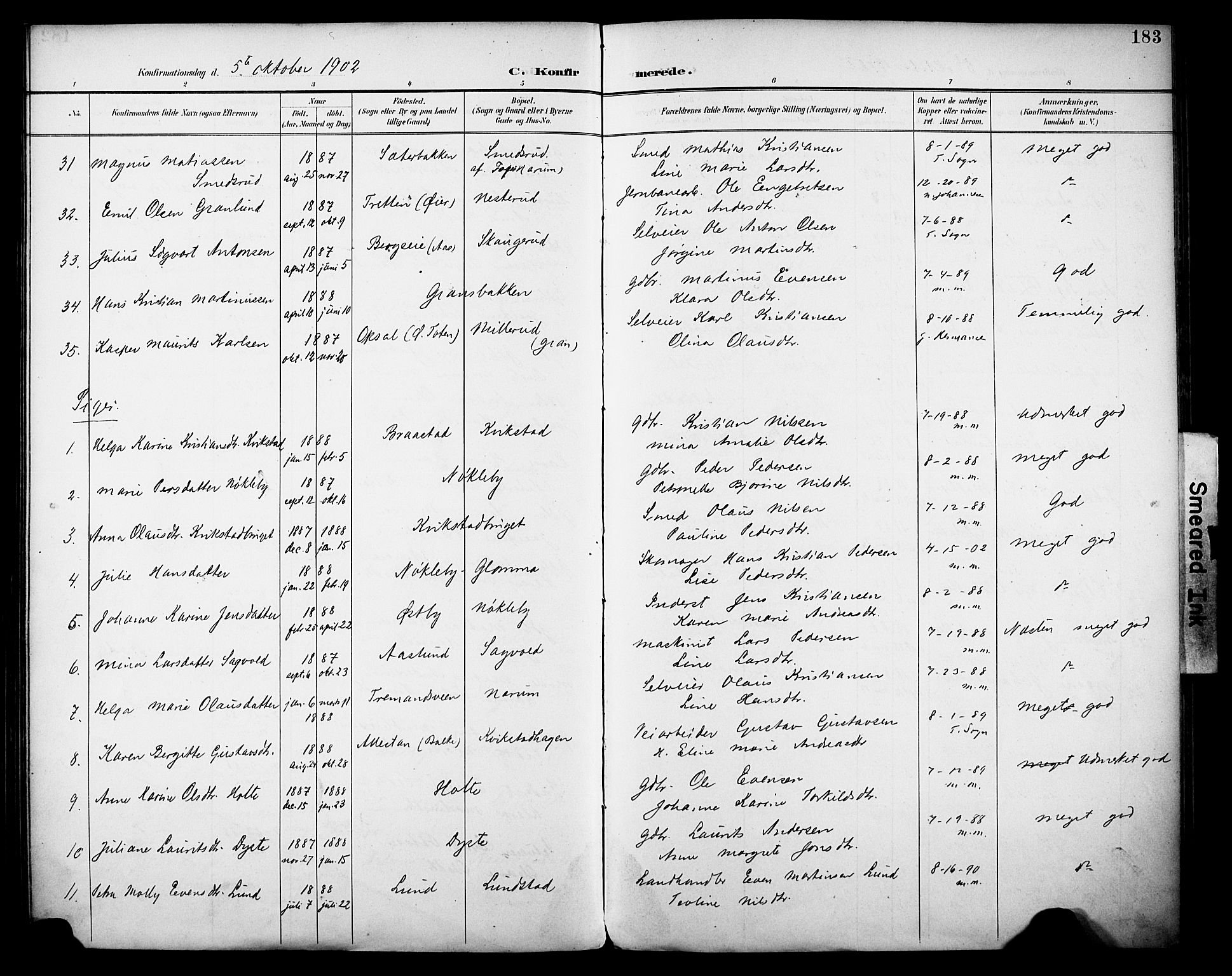 Vestre Toten prestekontor, AV/SAH-PREST-108/H/Ha/Haa/L0013: Parish register (official) no. 13, 1895-1911, p. 183