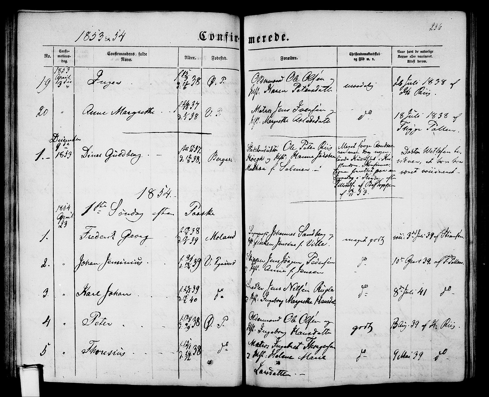 Porsgrunn kirkebøker , SAKO/A-104/G/Gb/L0004: Parish register (copy) no. II 4, 1853-1882, p. 236