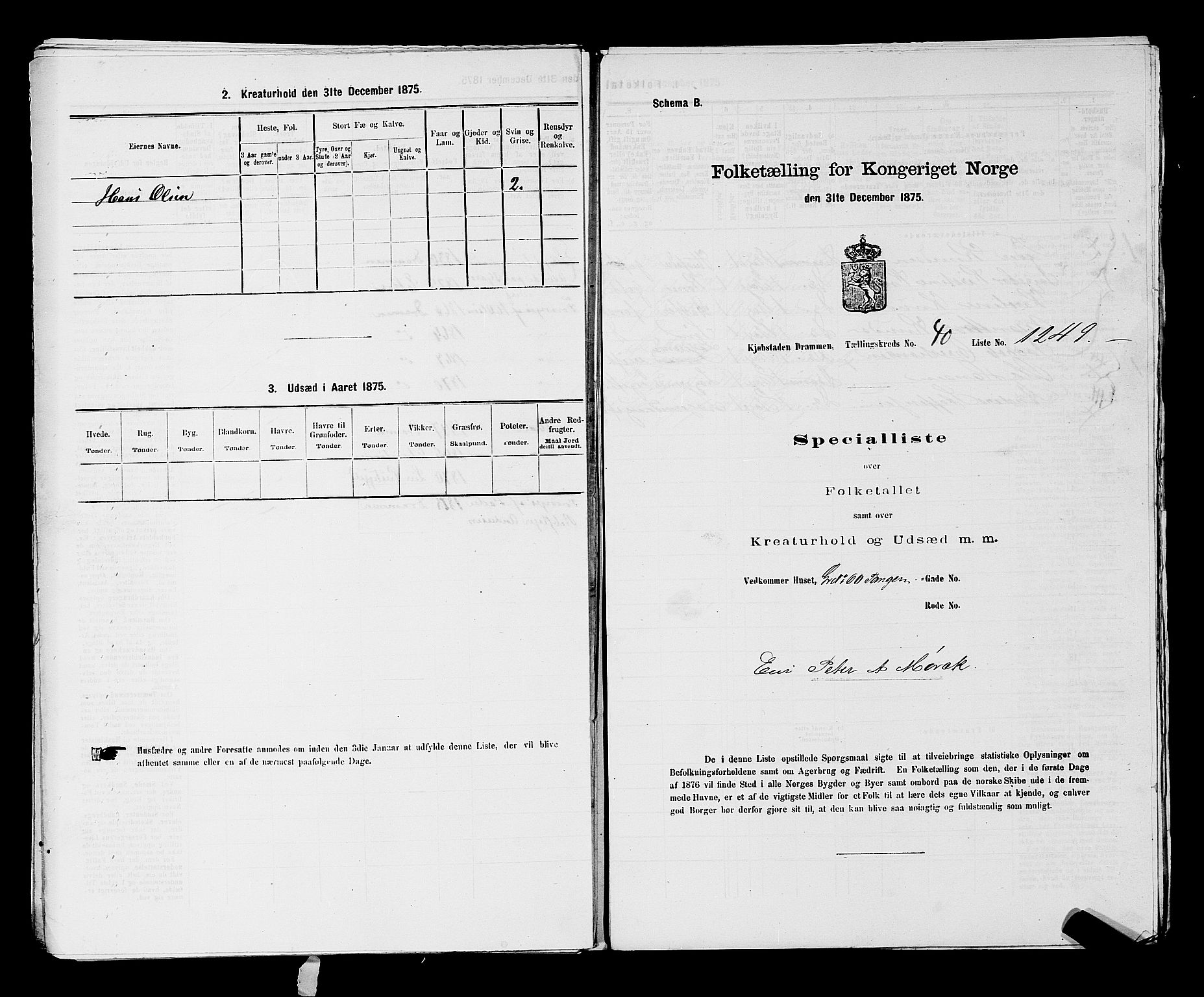 SAKO, 1875 census for 0602 Drammen, 1875, p. 3429