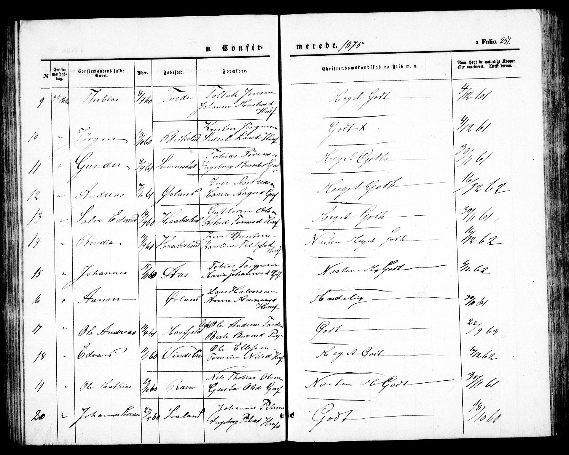 Birkenes sokneprestkontor, SAK/1111-0004/F/Fb/L0002: Parish register (copy) no. B 2, 1849-1876, p. 251