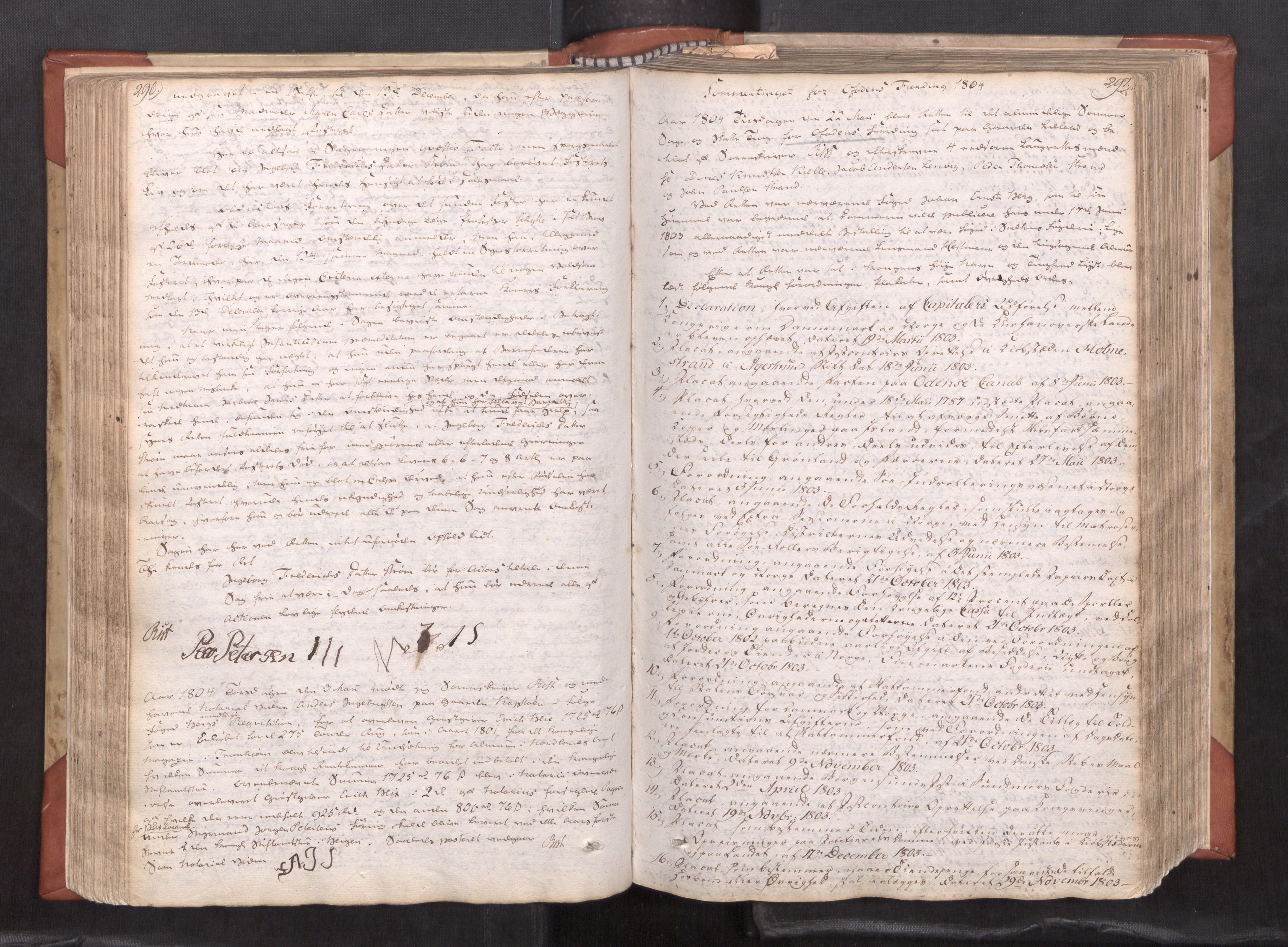Salten sorenskriveri, AV/SAT-A-4578/1/1/1A/L0018: Tingbok, 1800-1809, p. 296-297