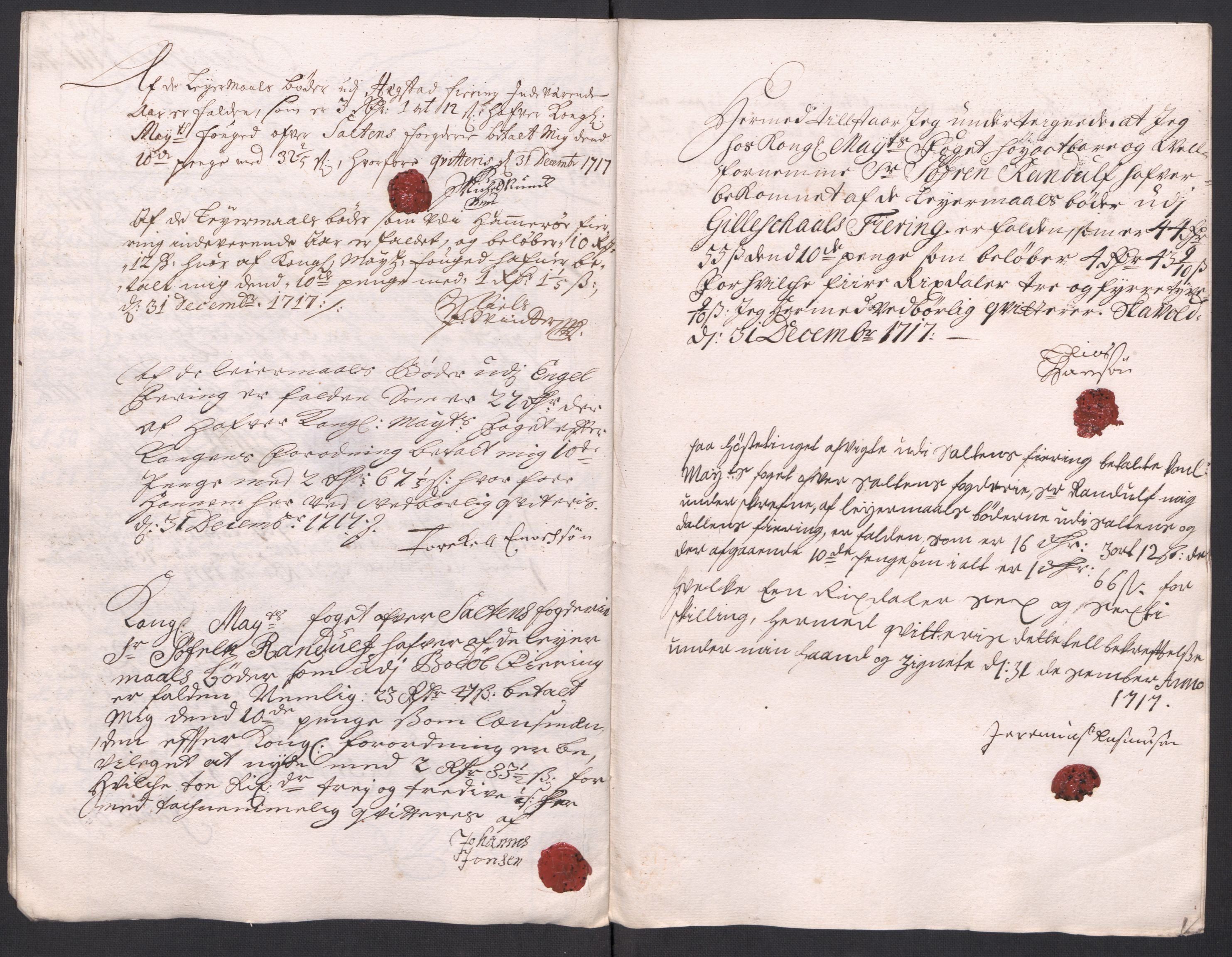 Rentekammeret inntil 1814, Reviderte regnskaper, Fogderegnskap, AV/RA-EA-4092/R66/L4587: Fogderegnskap Salten, 1717, p. 299