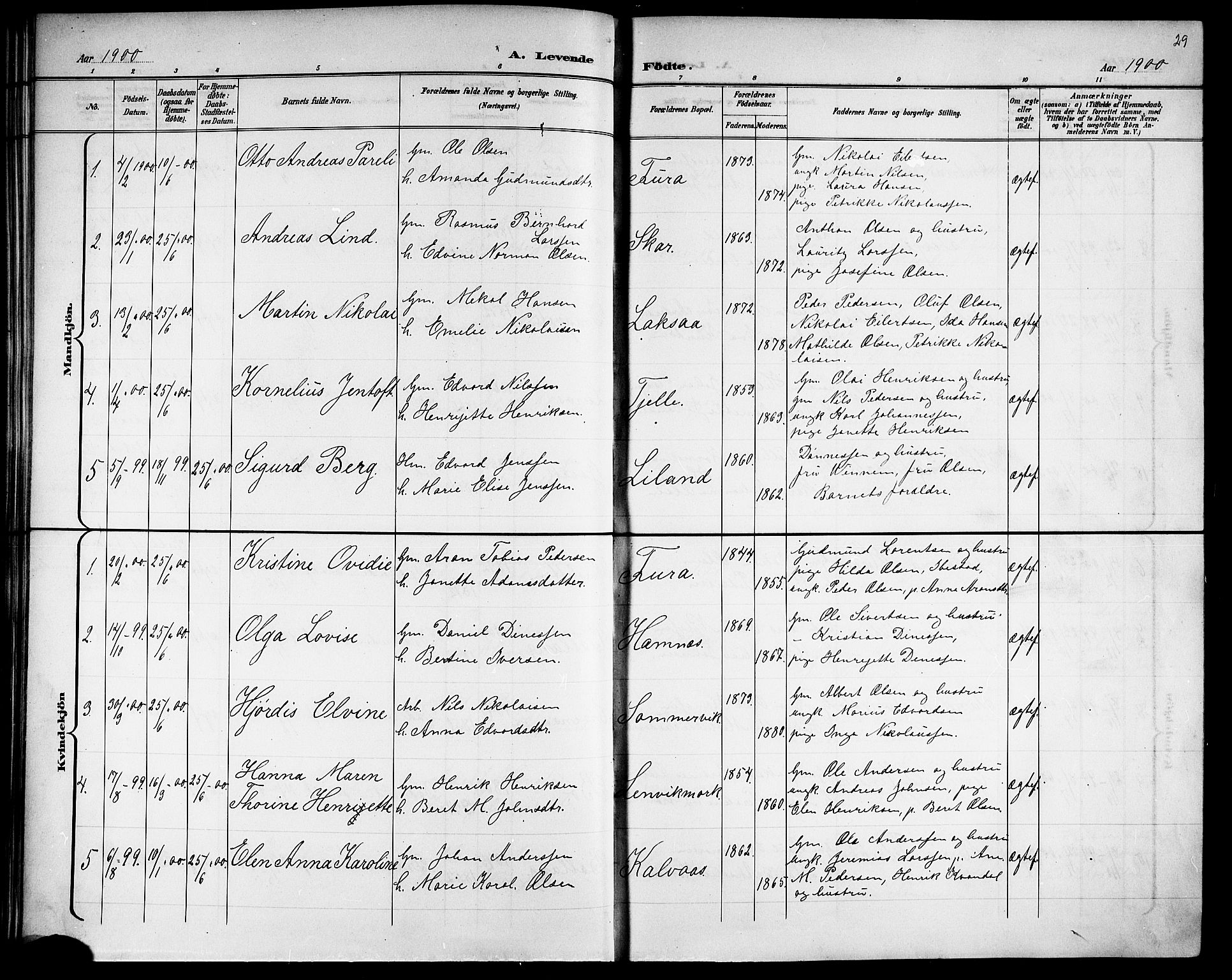 Ministerialprotokoller, klokkerbøker og fødselsregistre - Nordland, AV/SAT-A-1459/863/L0915: Parish register (copy) no. 863C05, 1898-1907, p. 29