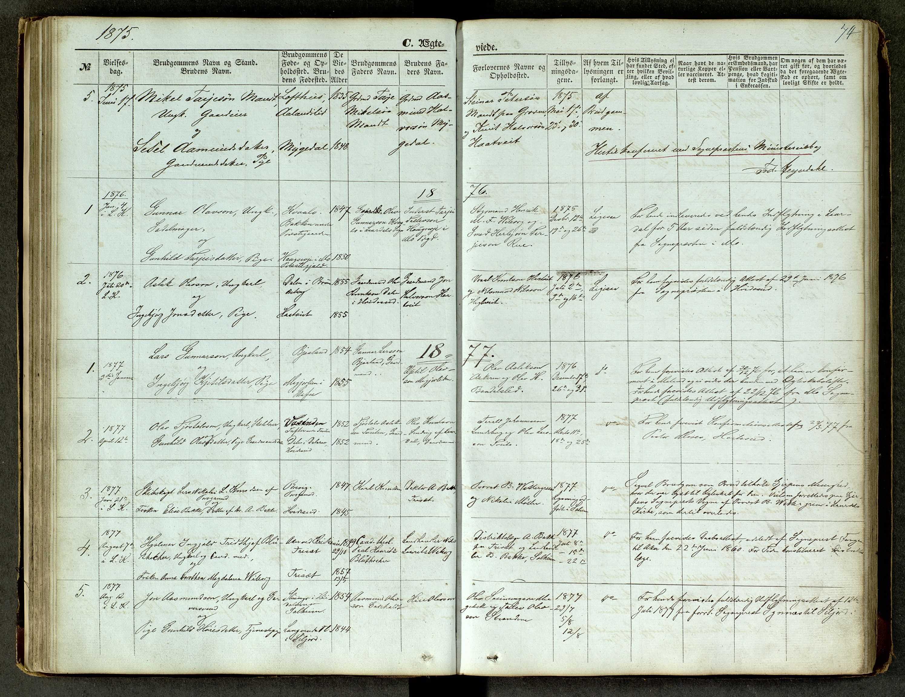 Lårdal kirkebøker, SAKO/A-284/G/Ga/L0002: Parish register (copy) no. I 2, 1861-1890, p. 74