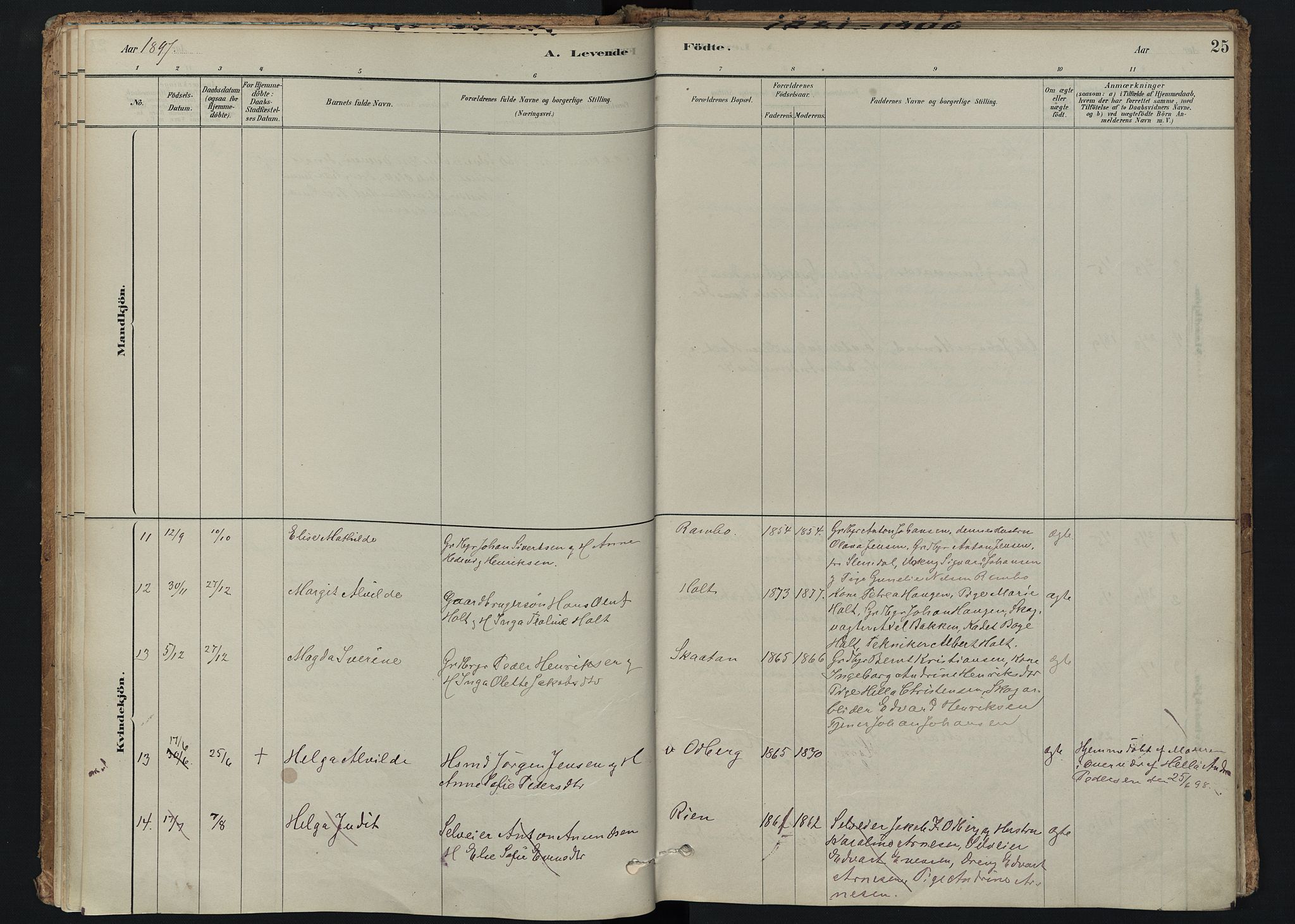 Hedrum kirkebøker, AV/SAKO-A-344/F/Fc/L0001: Parish register (official) no. III 1, 1881-1906, p. 25